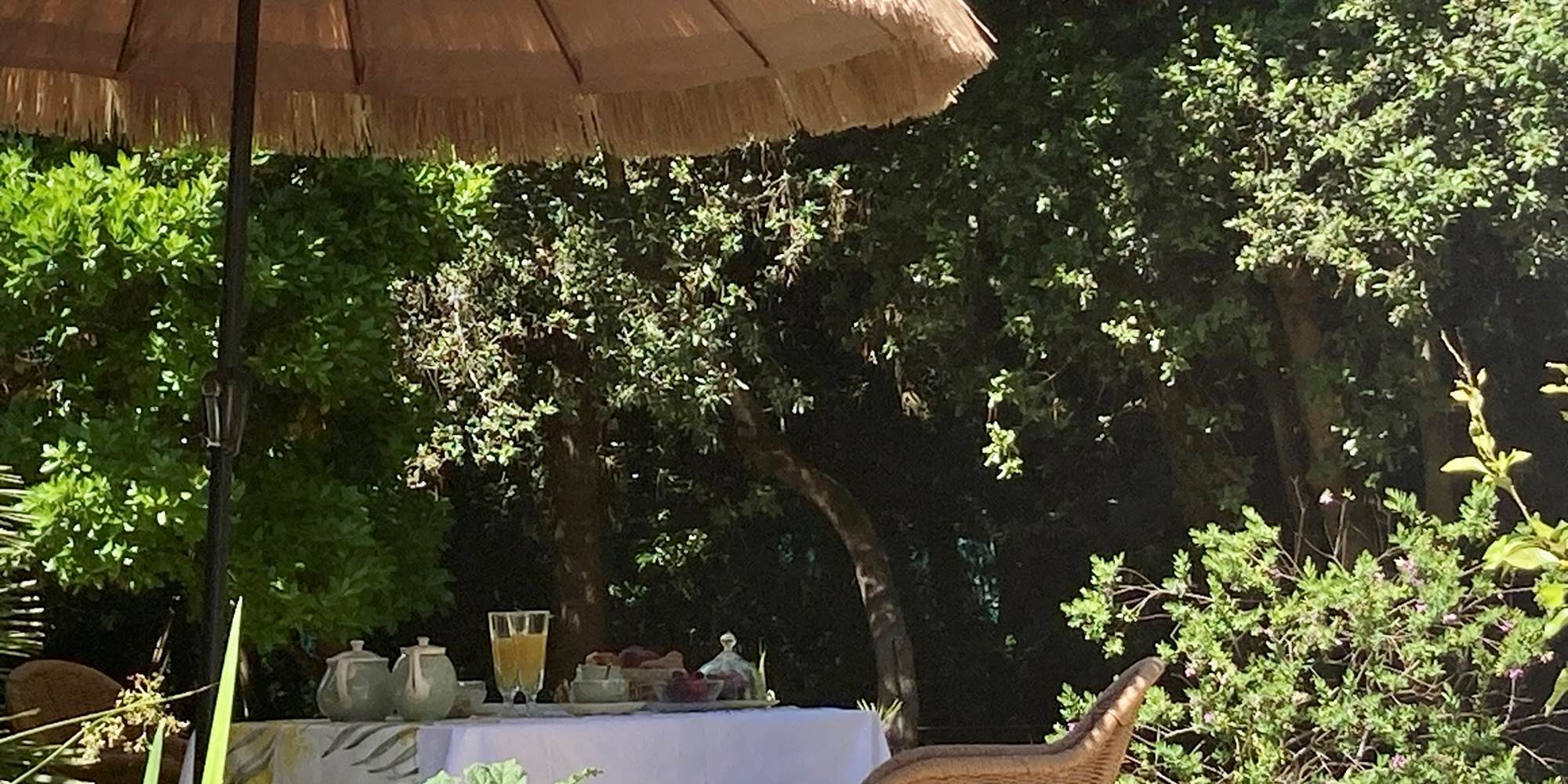 Petit déjeuner sur la terrasse