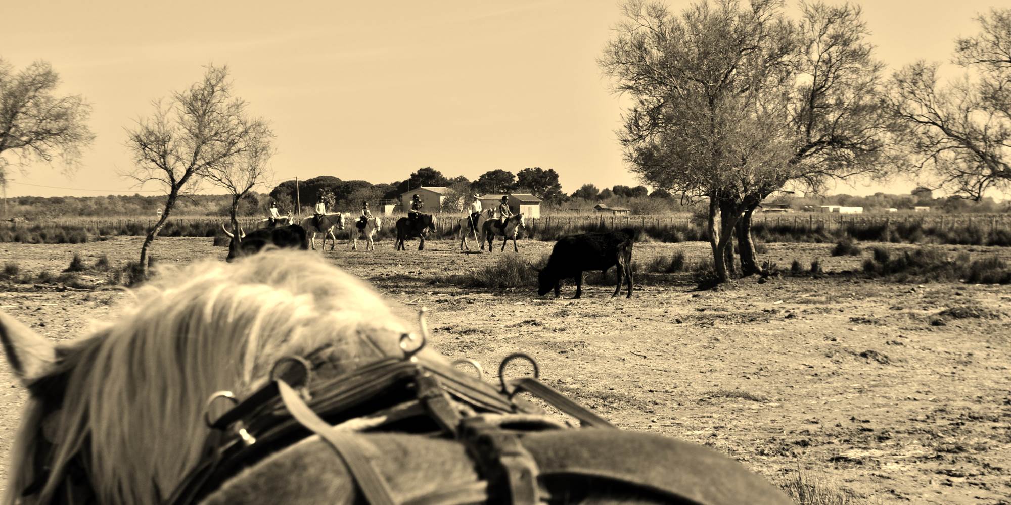 Visite à cheval