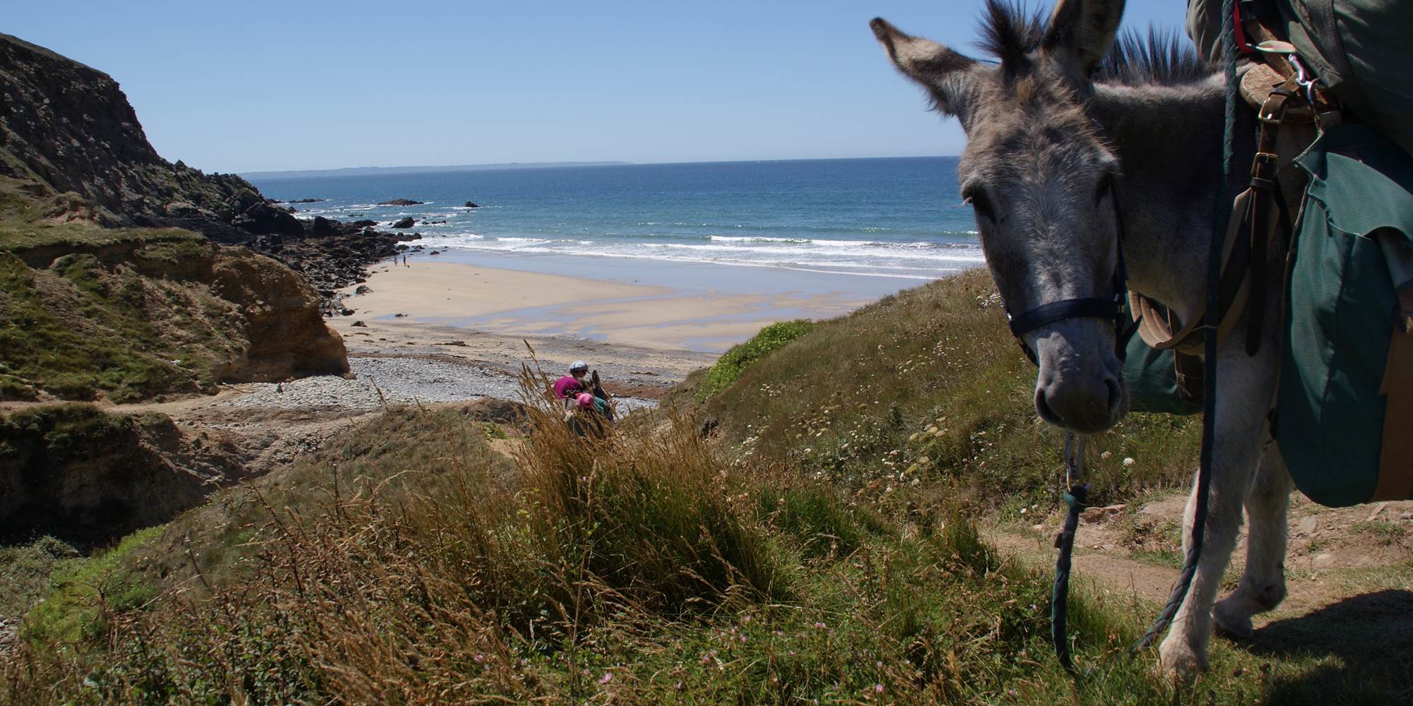 nos ânes en randonnée en bord de mer