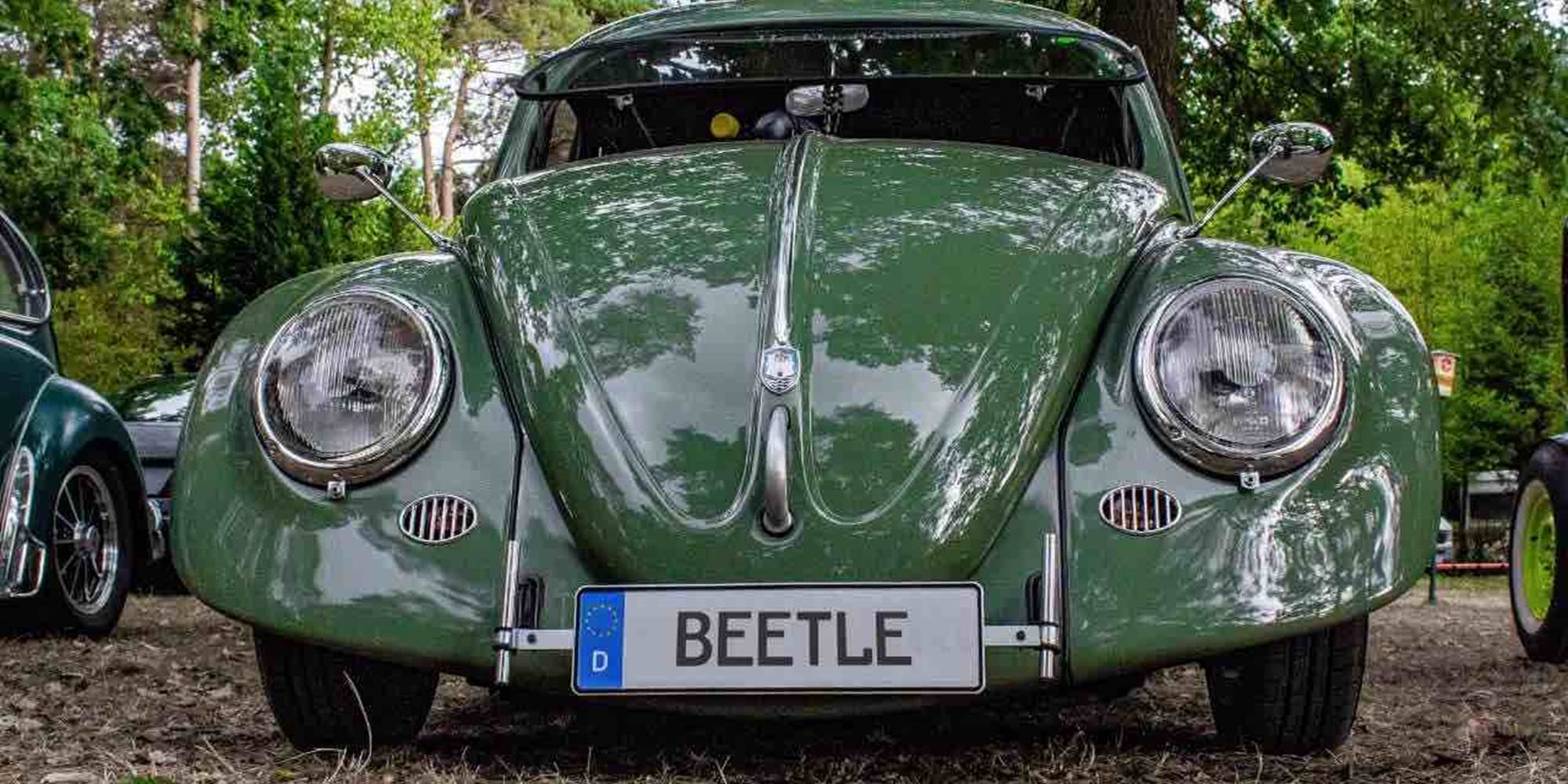 Une coccinelle à l'European Bug-In de Chimay