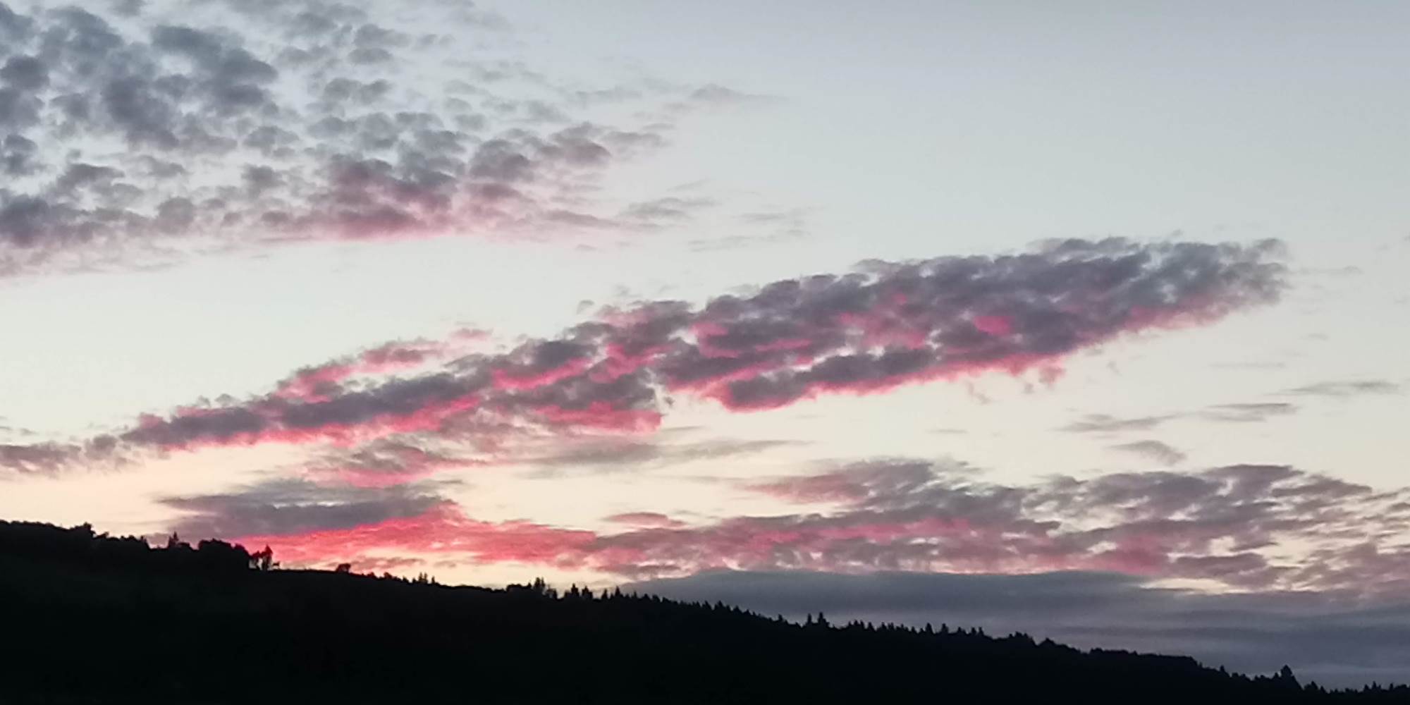 DSC_0180