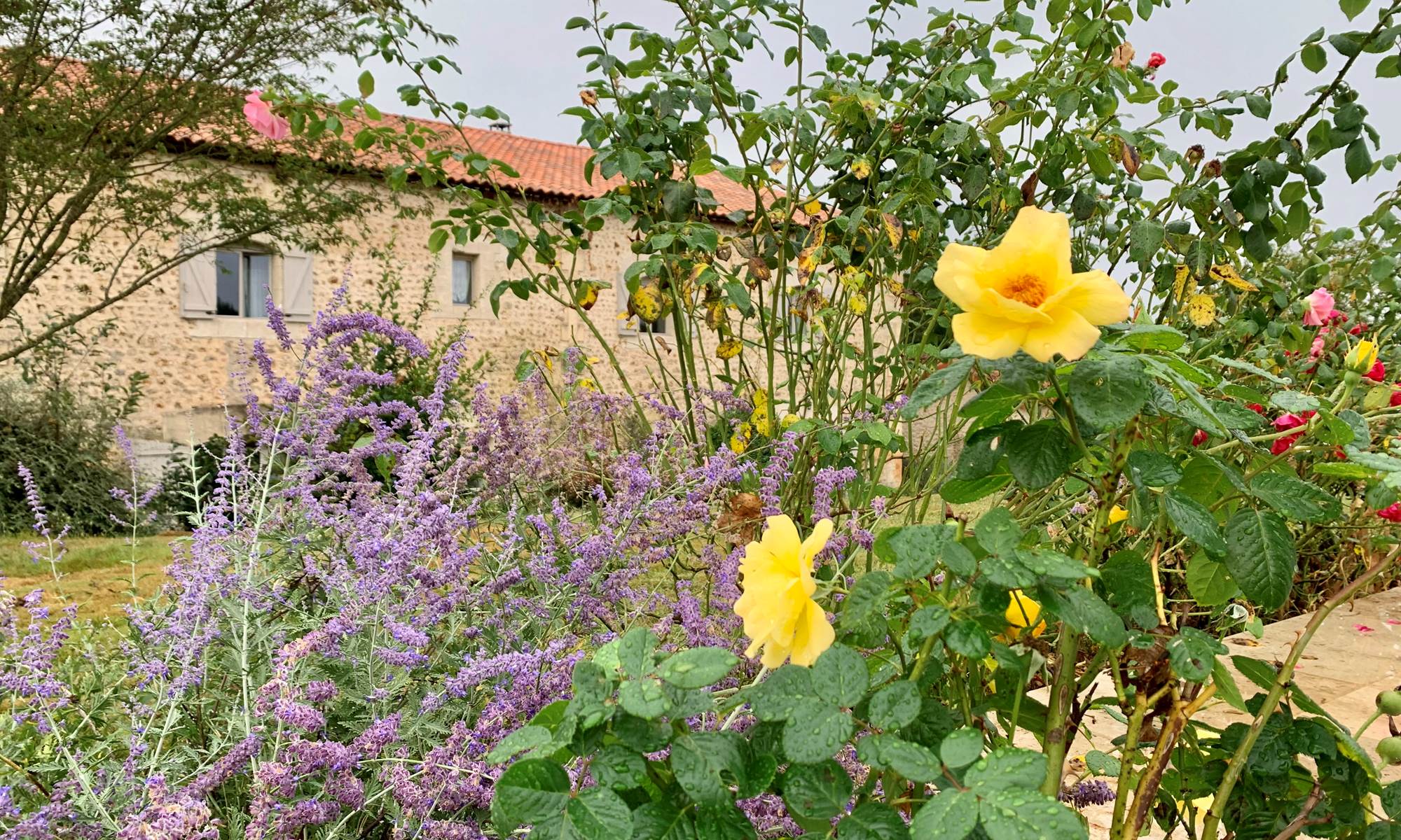 Chambre d'hôtes Tendance Campagne Jardin