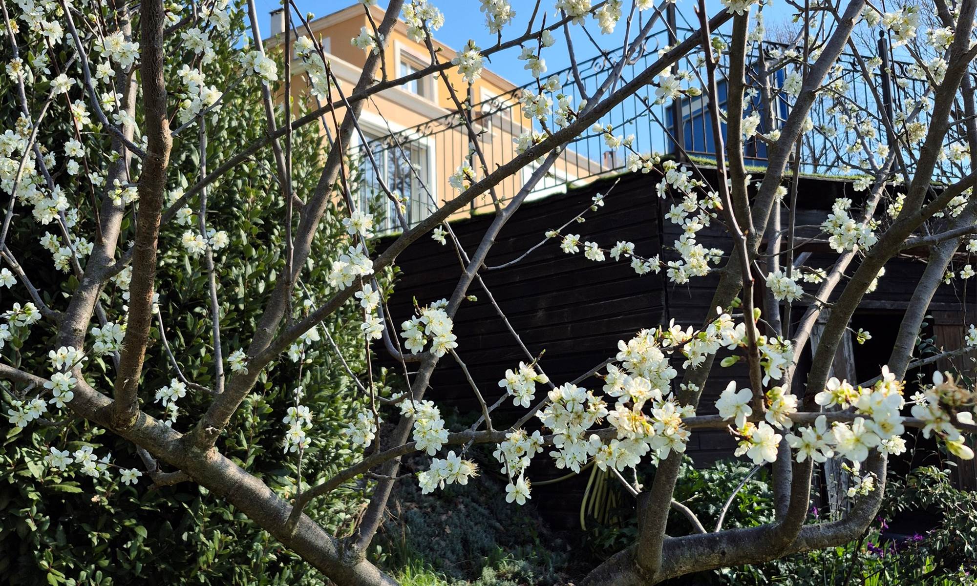 Le printemps est là !-galerie