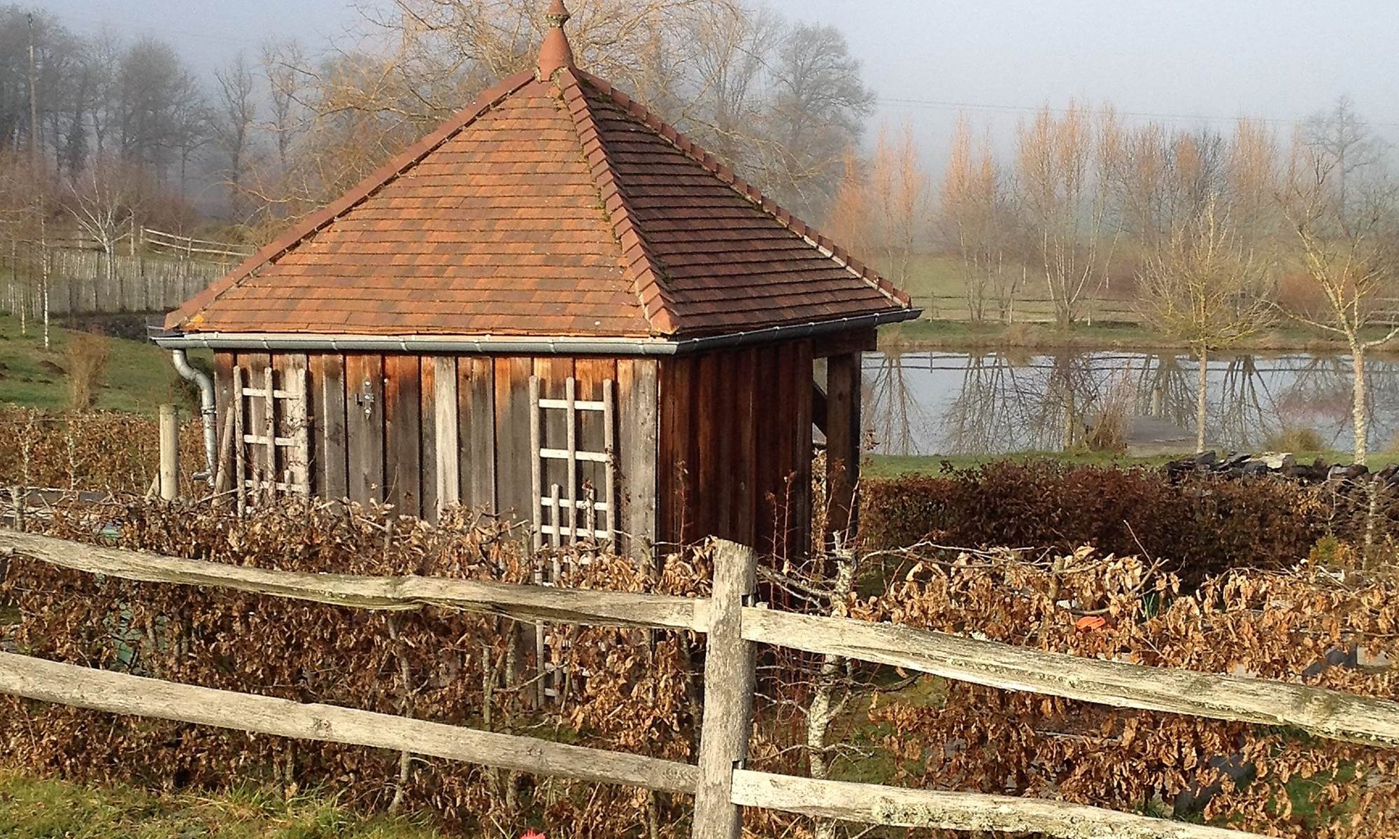 les poules du Domaine...