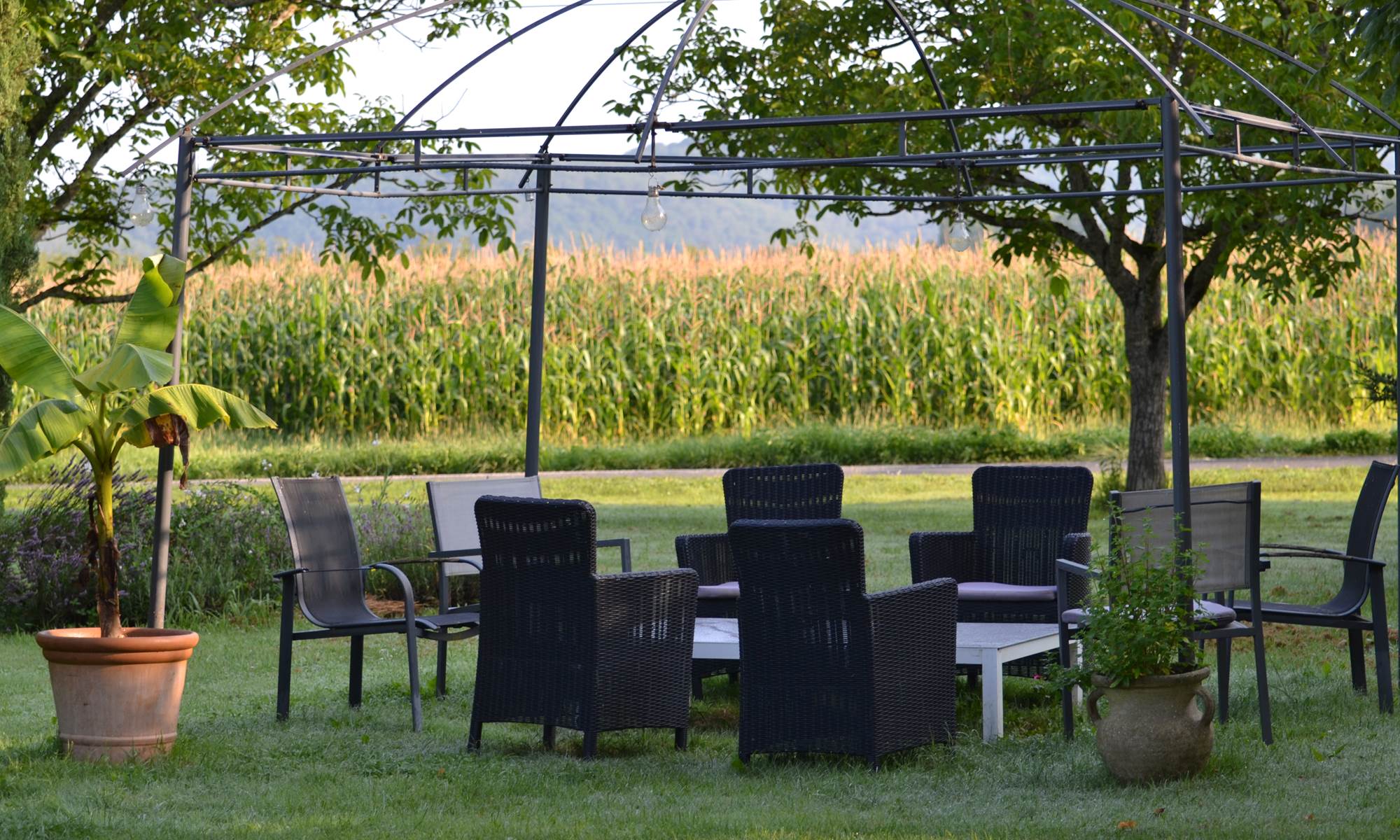 Salon de jardin-galerie