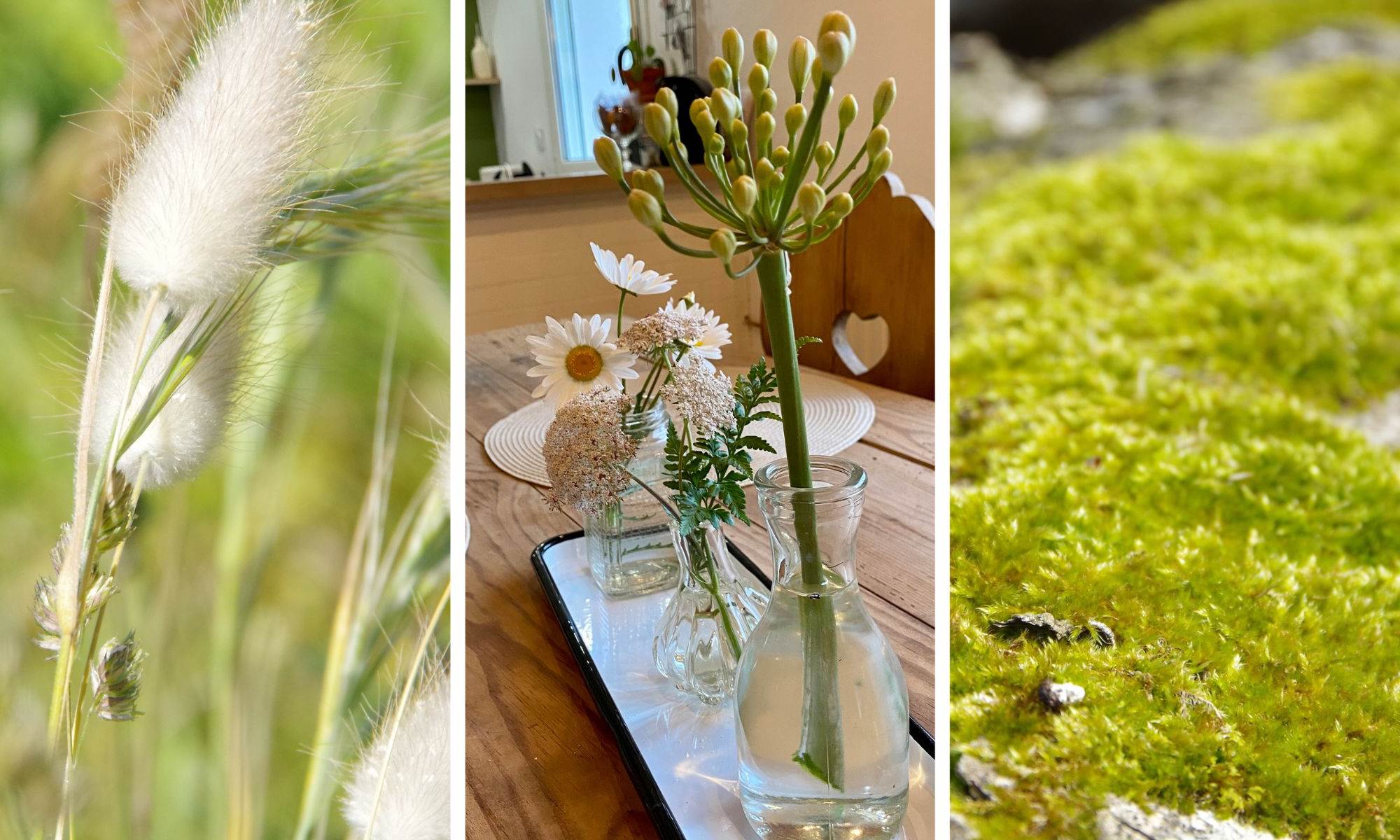 Des gîtes très nature