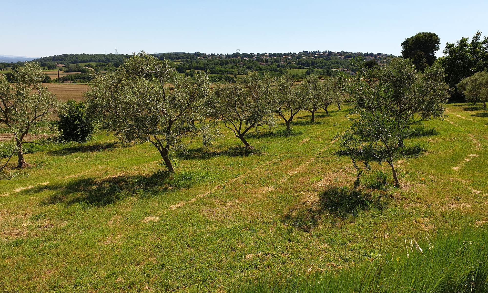 La Bastide de l'Adrech-galerie