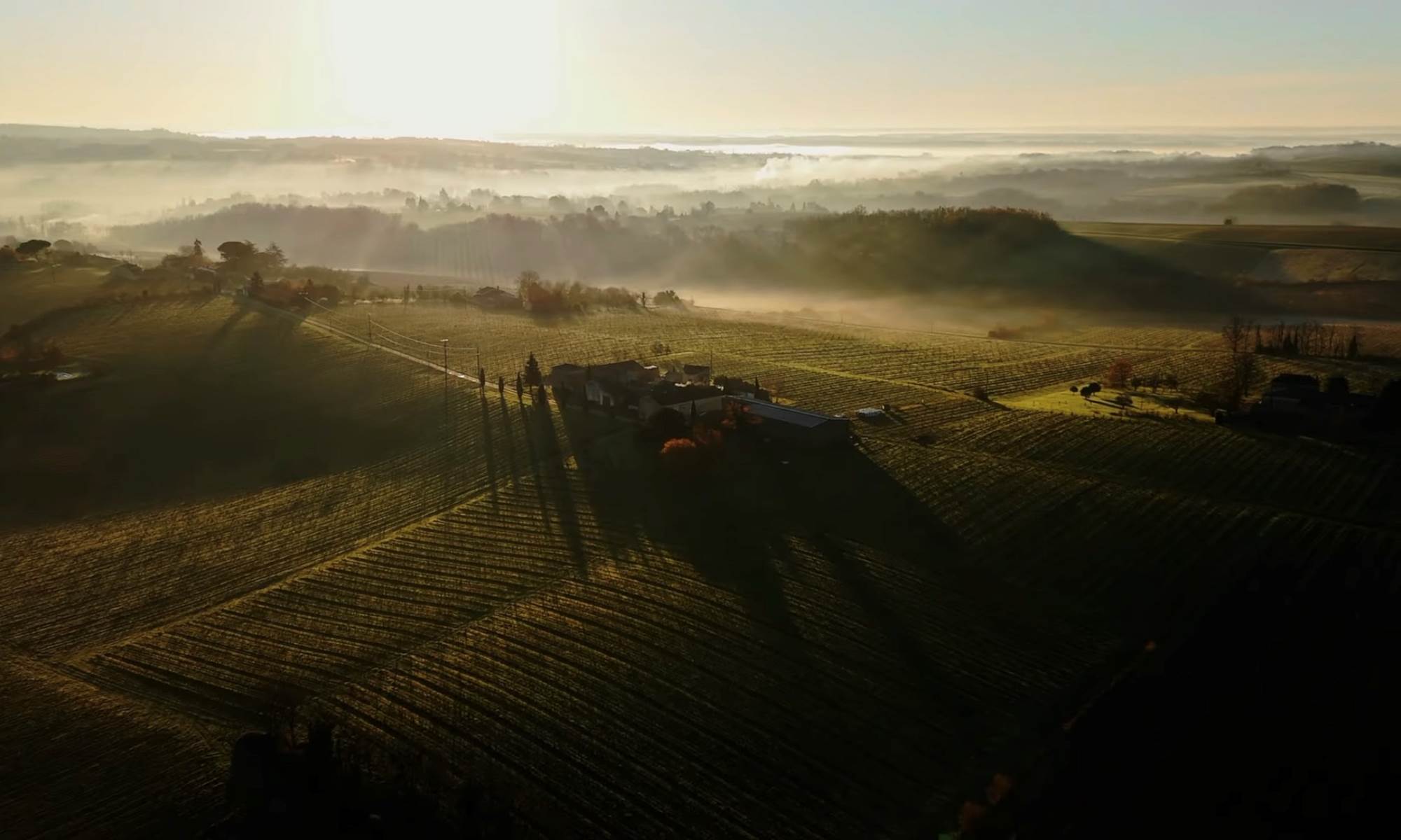 domaine matinée-galerie