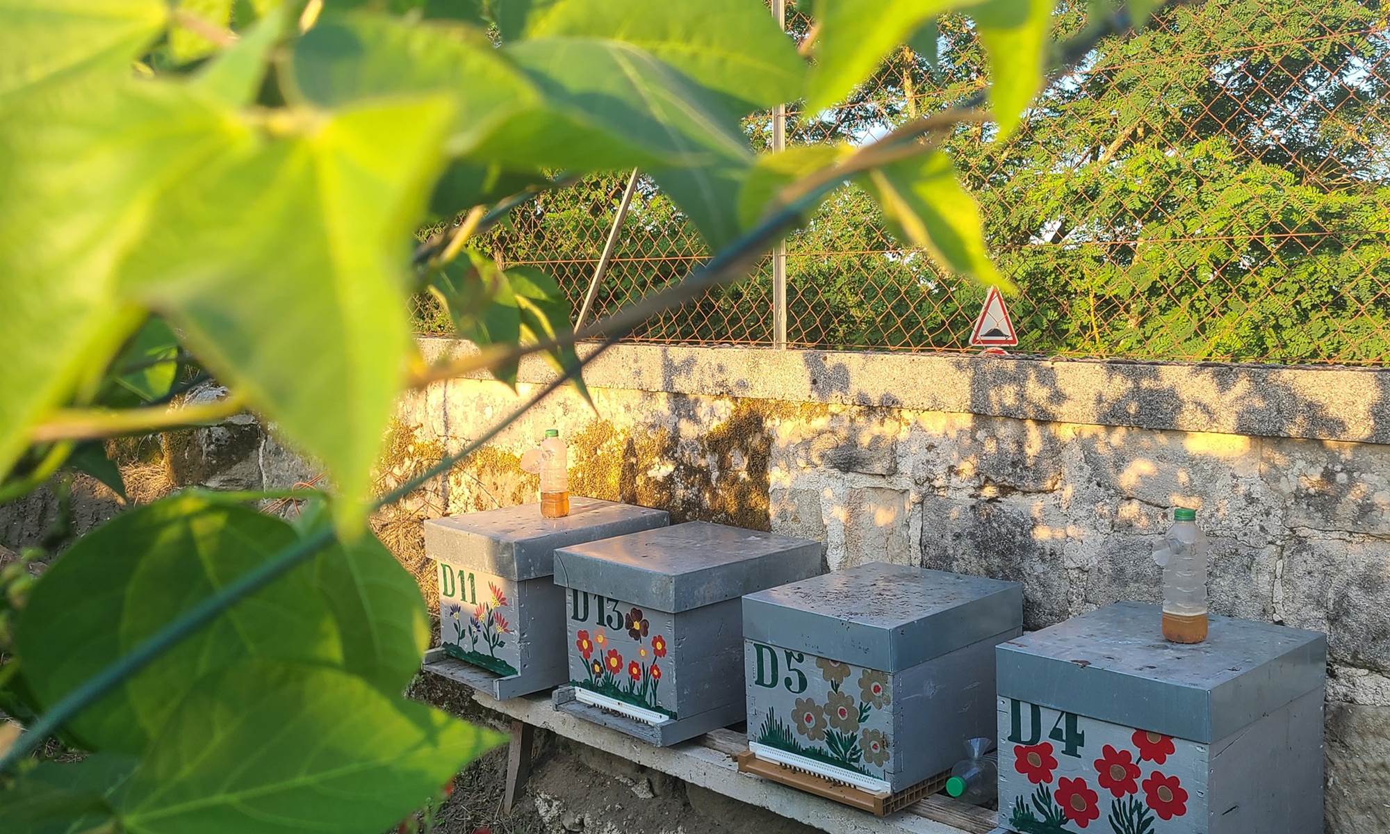 Les ruches des Dépendances-galerie