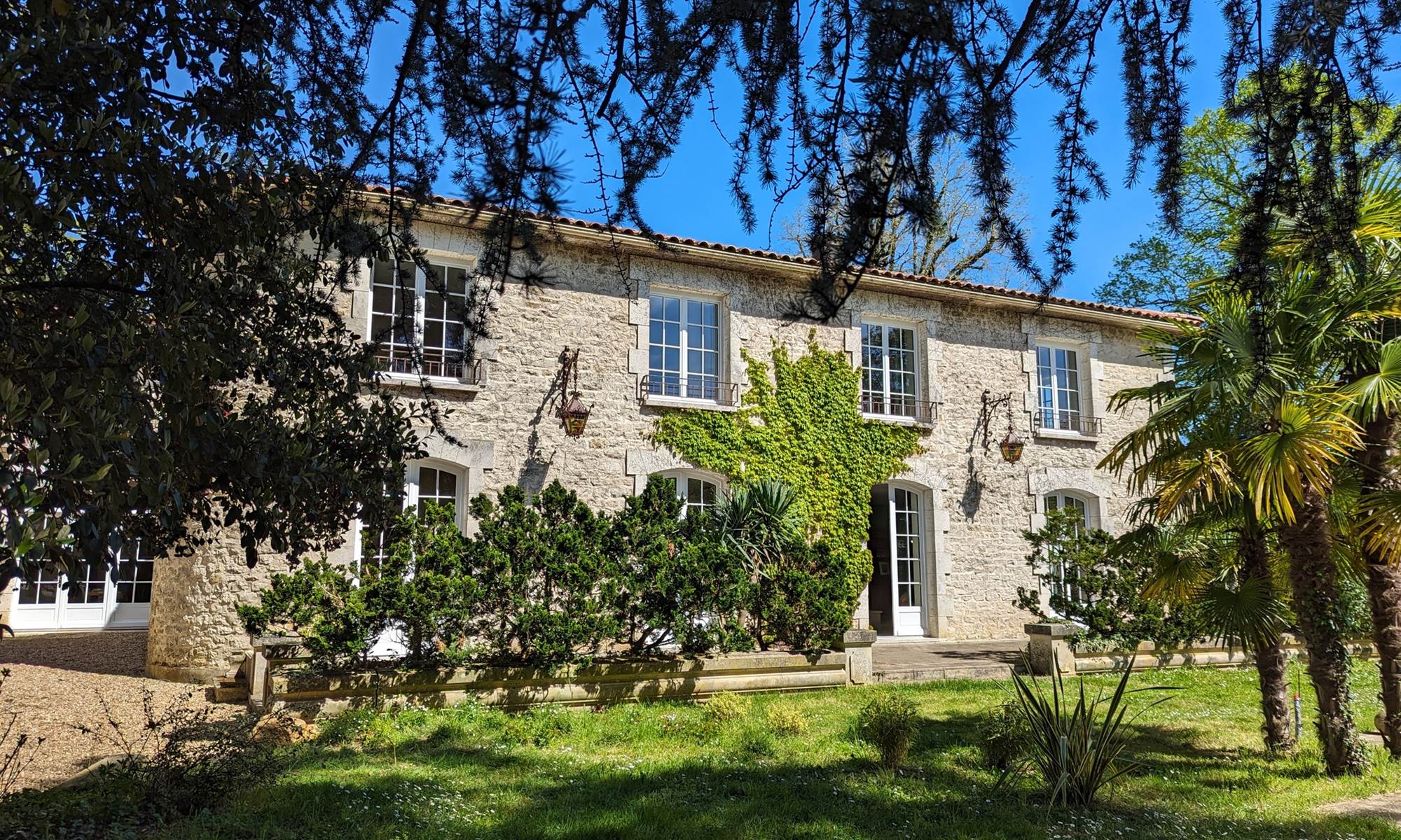 PXL_20240412_104947029