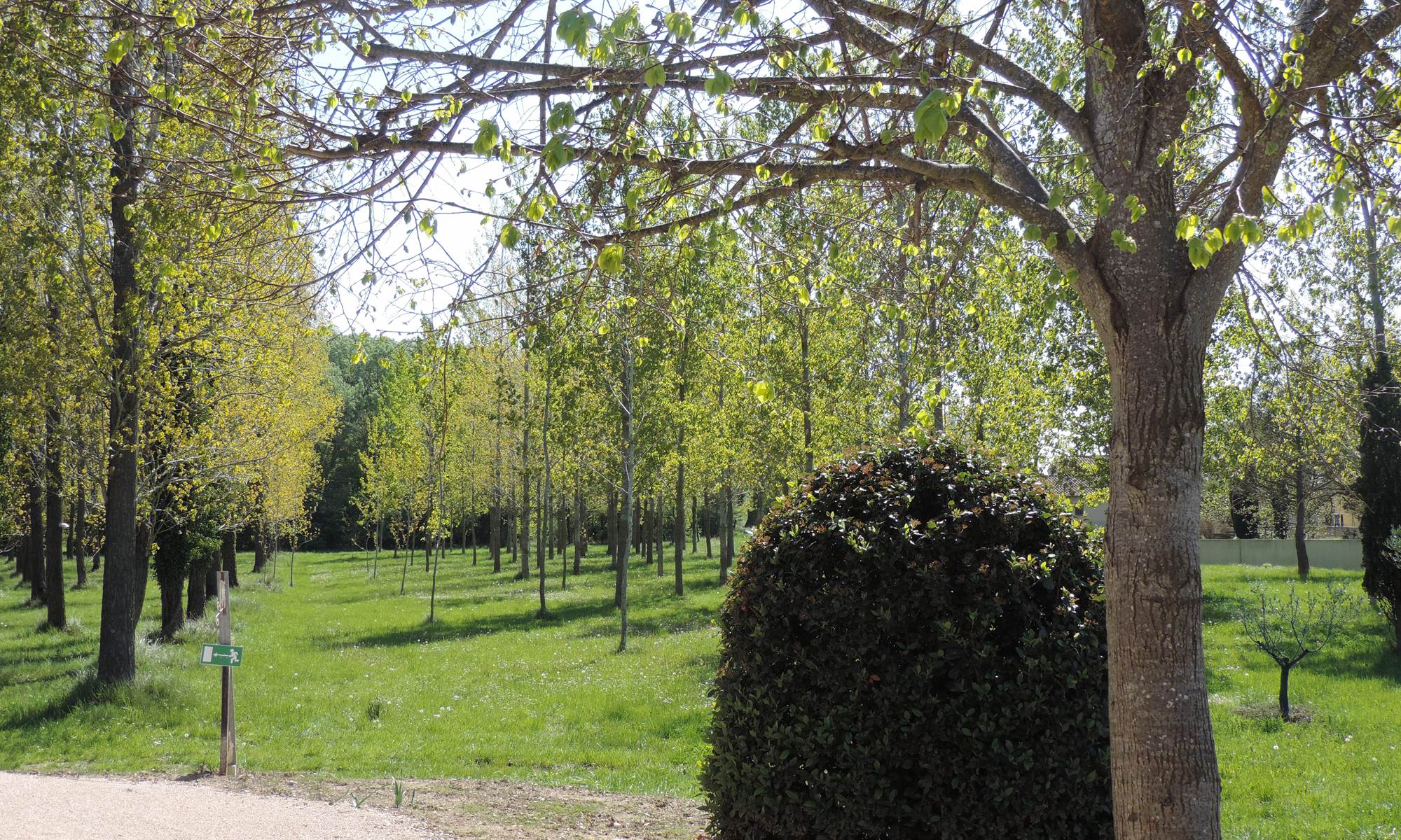 Parc Hotel les peupliers Loriol Du comtat-page