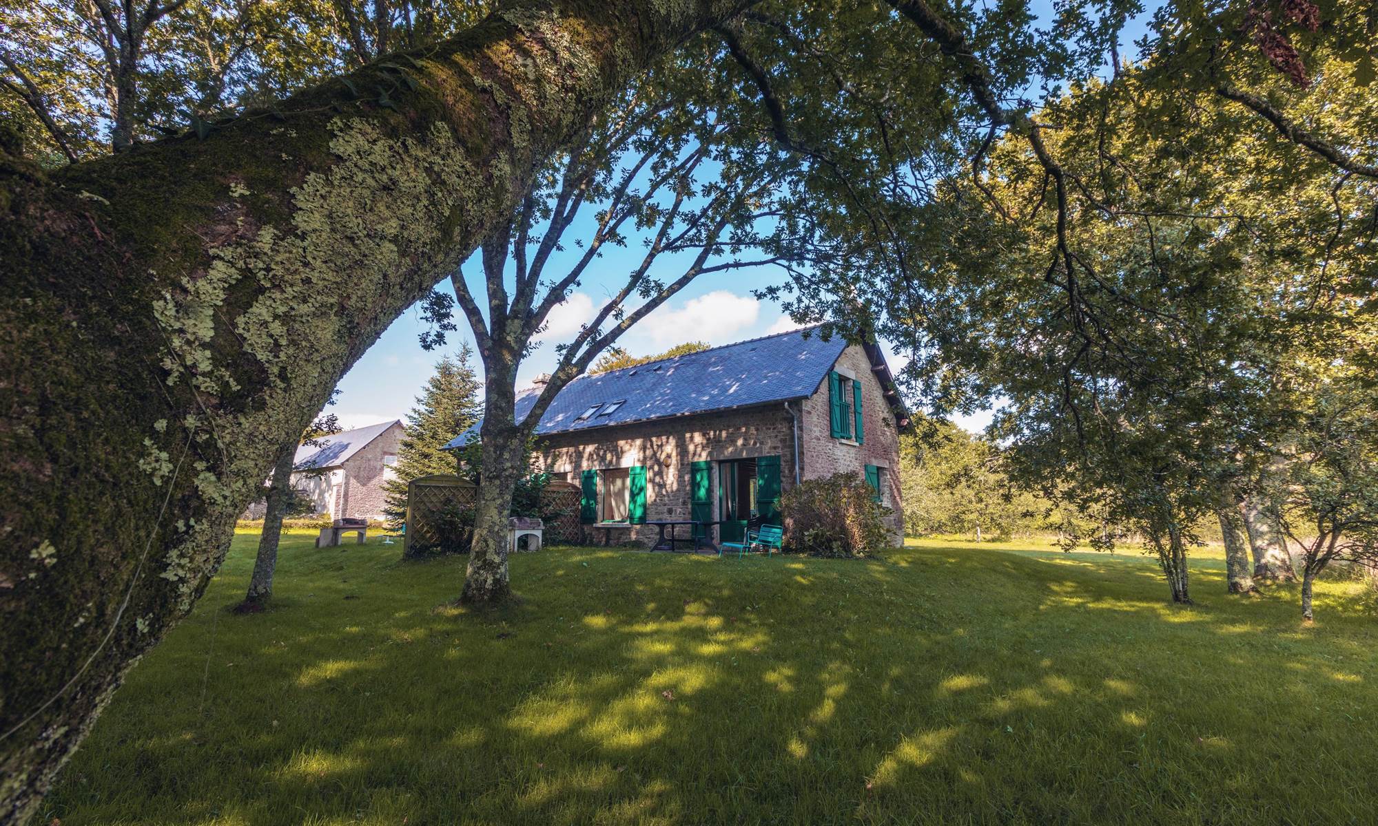 Lilas-des-indes-jardin-galerie