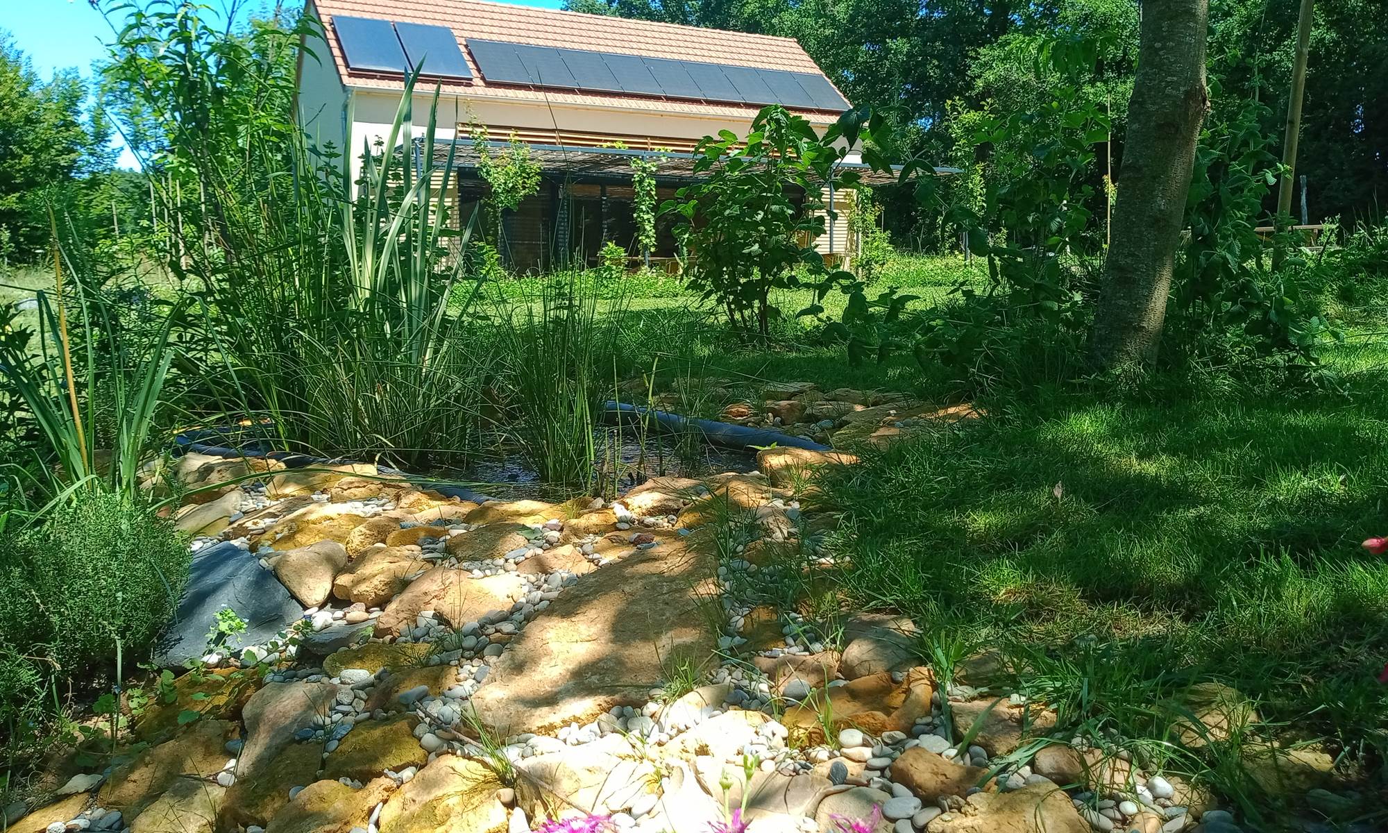 verdure du jardin-galerie