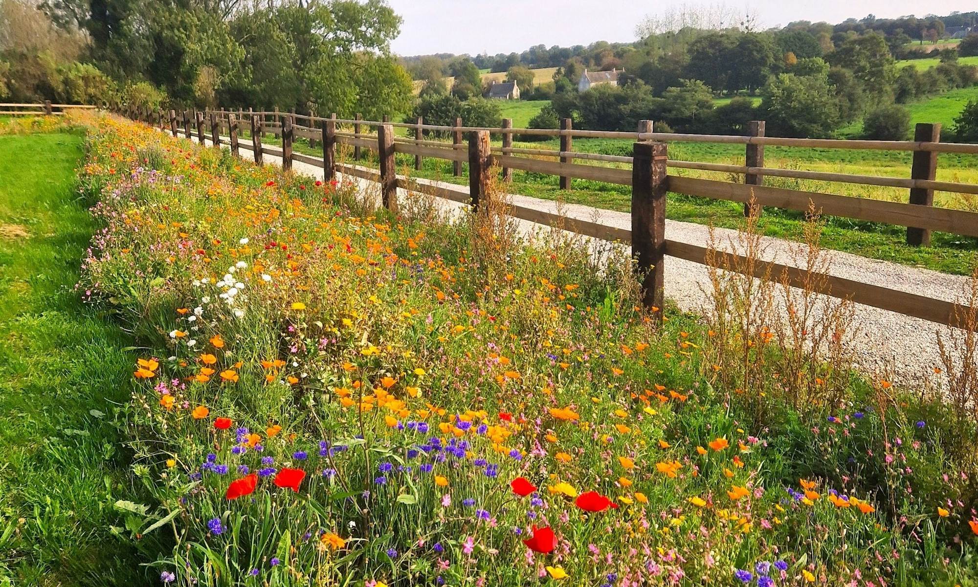 Domaine de Houtteville - Le jardin 8-page