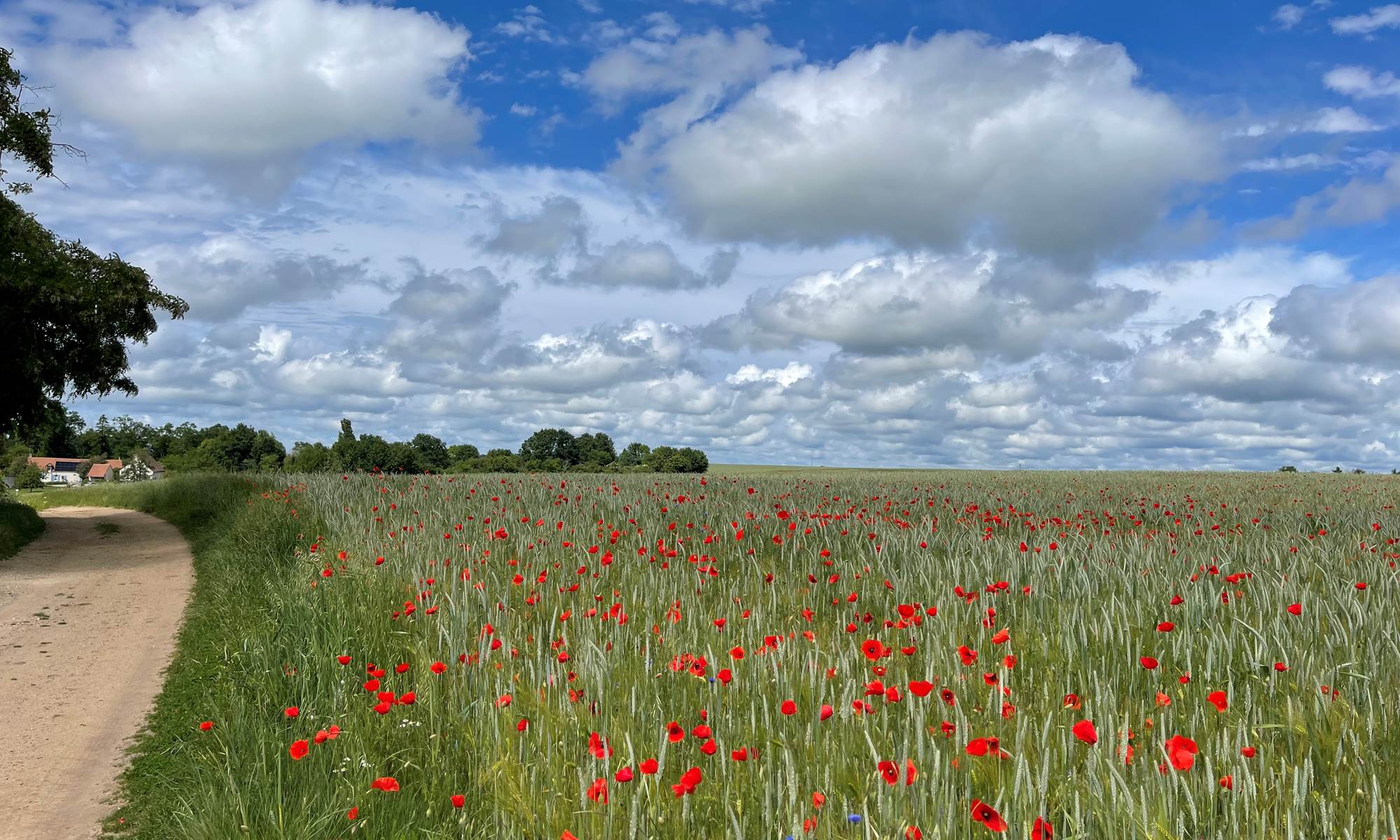 La campagne autour de nos Gîtes-galerie