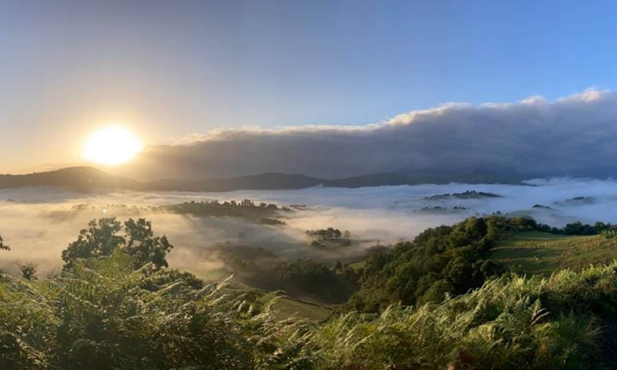 Vue en montant sur le chemin
