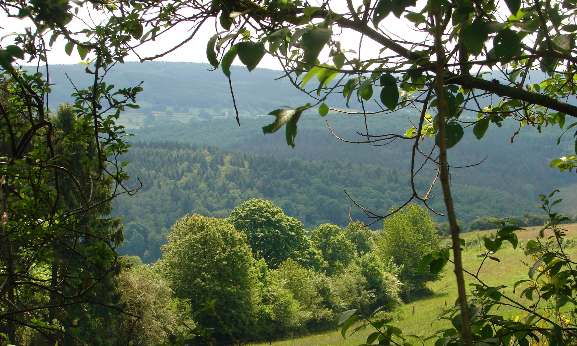 Burnontige et ses paysages-galerie