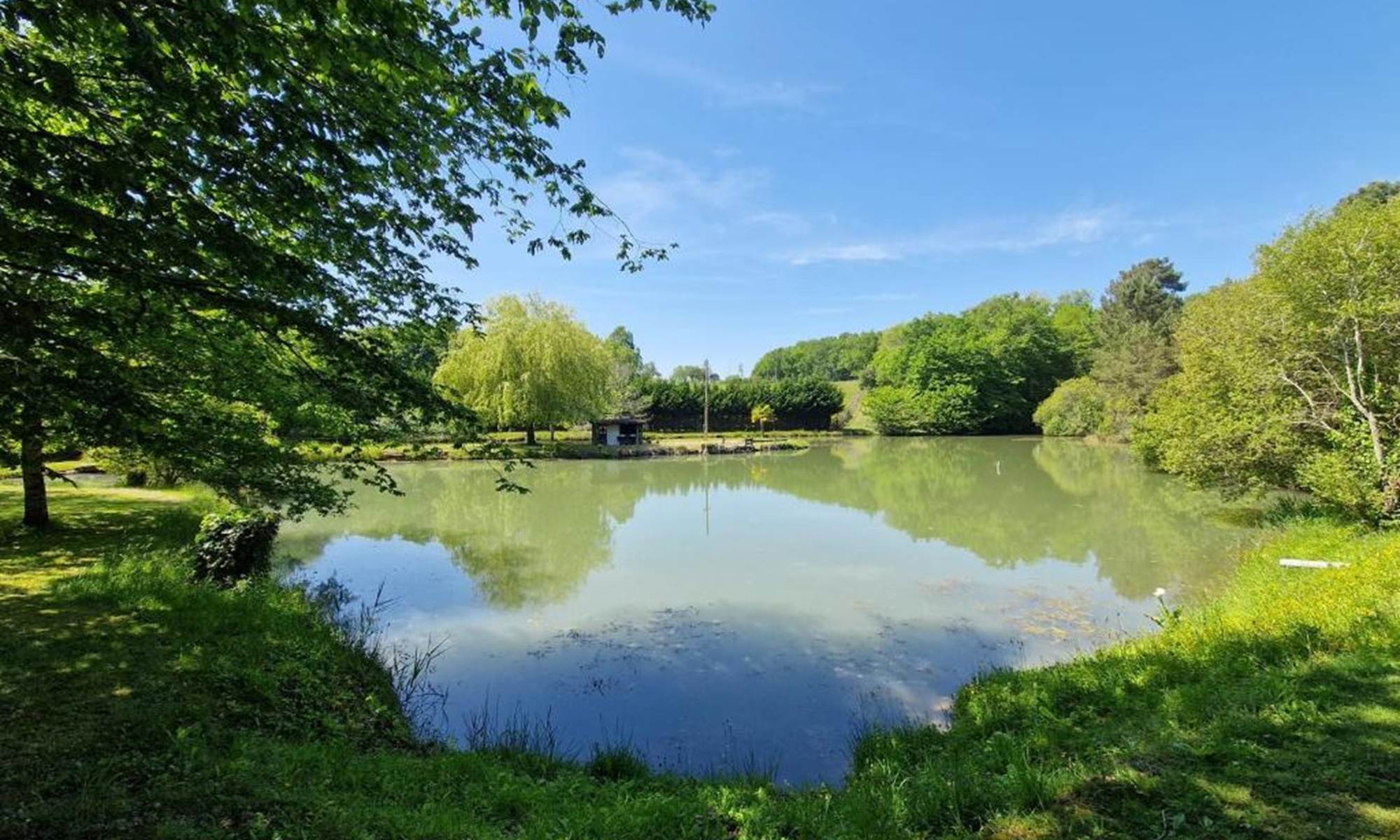 <img src="faune-flore-etang-hacienda-soubran.jpg" alt="Faune et flore autour de l’étang du domaine L’Hacienda de Soubran" title="Nature et biodiversité autour de l’étang de L’Hacienda de Soubran">