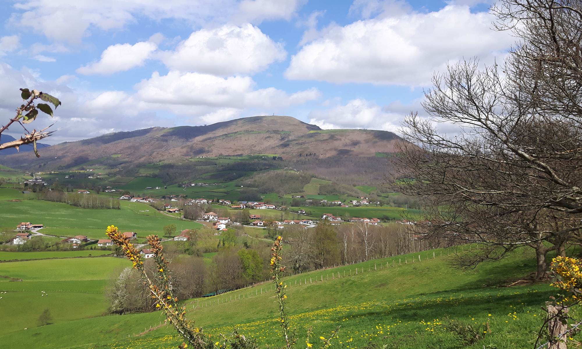 La vue sur la propriété