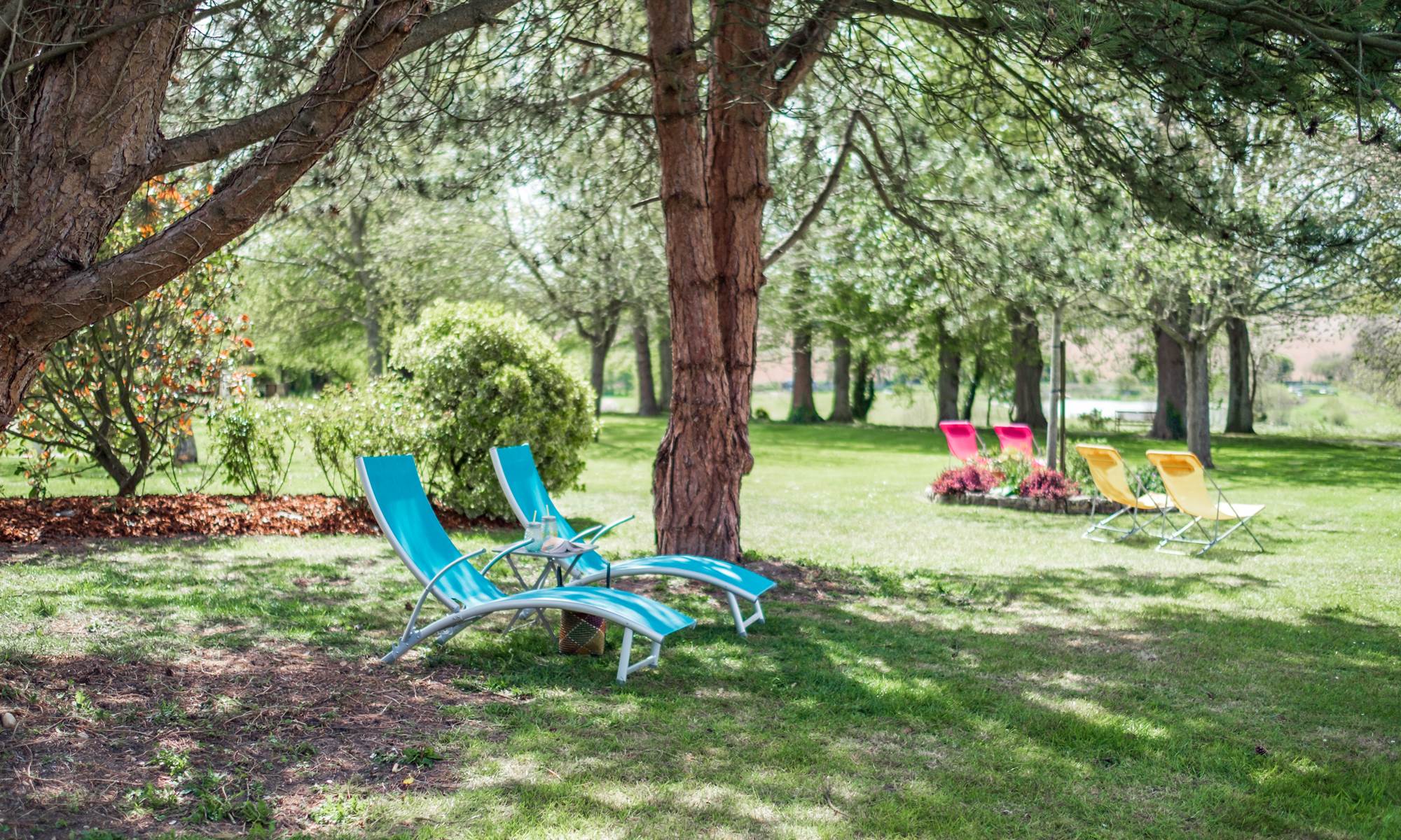 Se reposer à l'ombre du pin-page