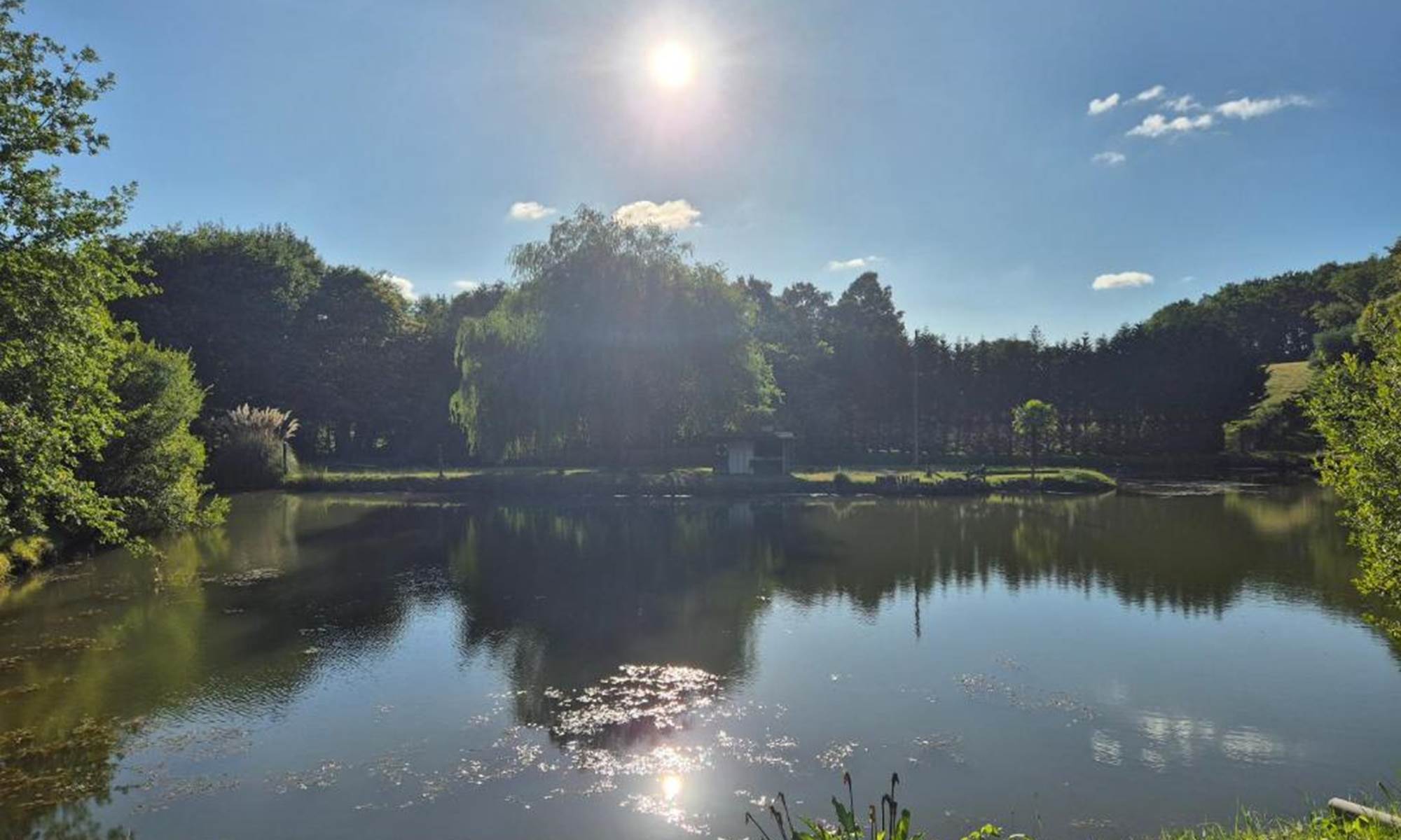 <img src="parc-hacienda-soubran.jpg" alt="Parc arboré de 4 hectares de L’Hacienda de Soubran" title="Parc et étang de L’Hacienda de Soubran, Charente-Maritime">