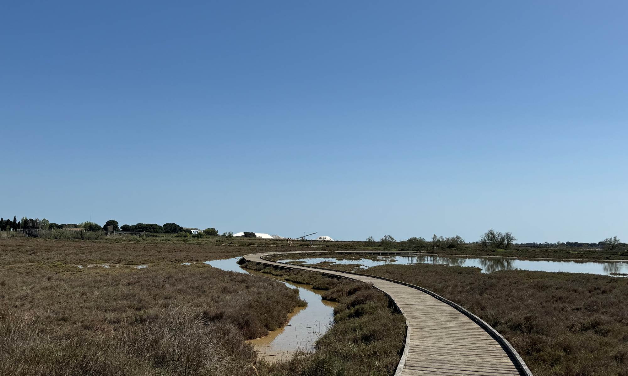 Sentier de la Marette à Aigues-Mortes