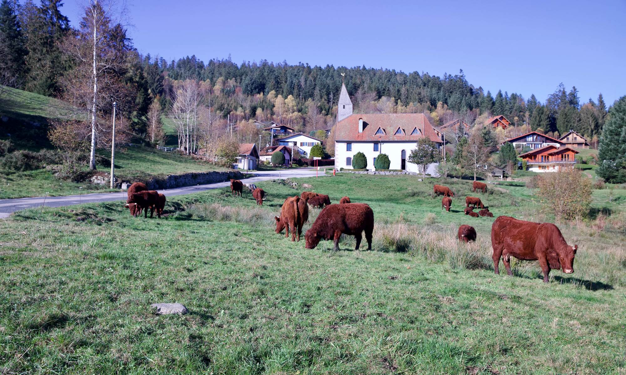 Vacances en famille Gérardmer-galerie