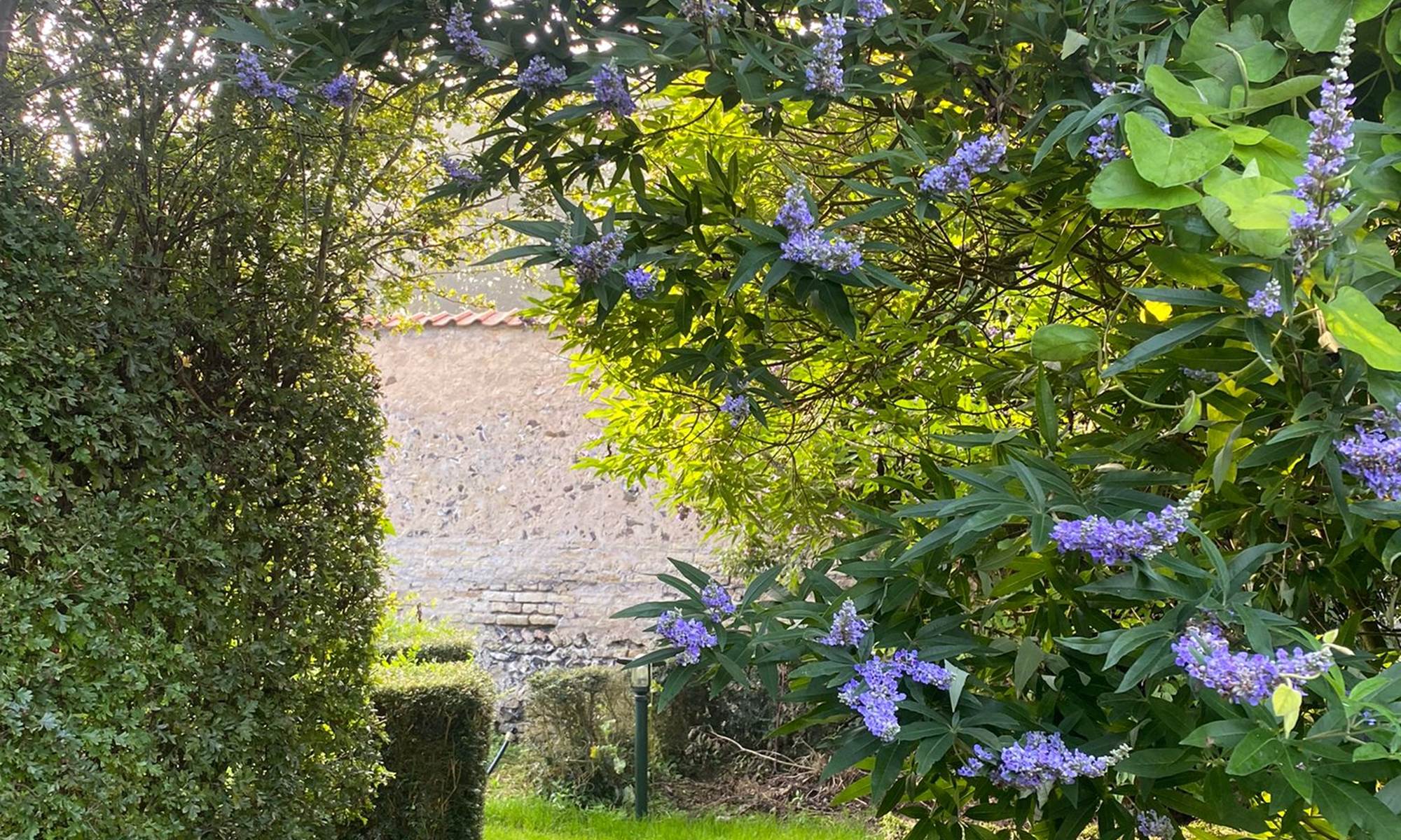 vue sur jardin de la chambre la rêveuse