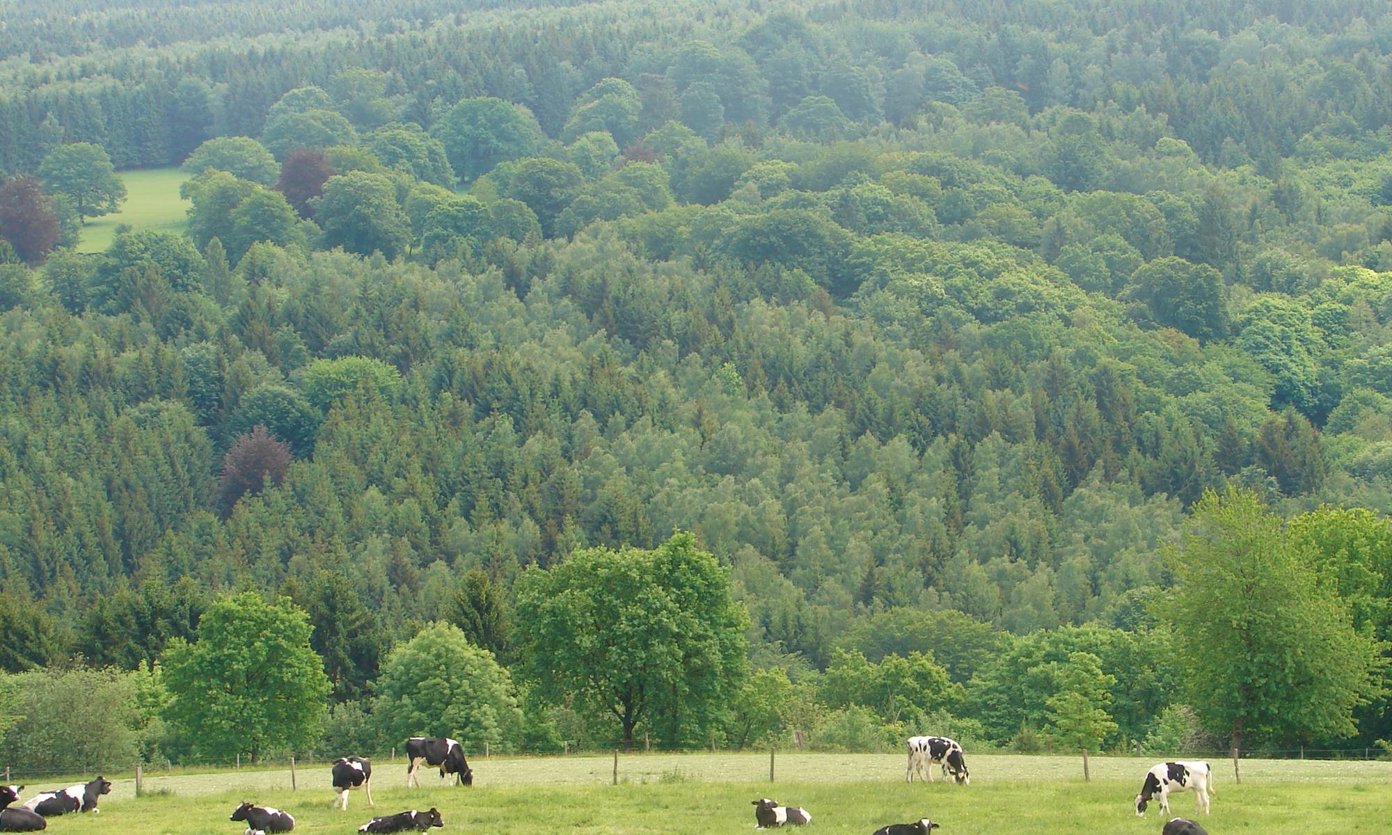 Burnontige et ses environs-galerie