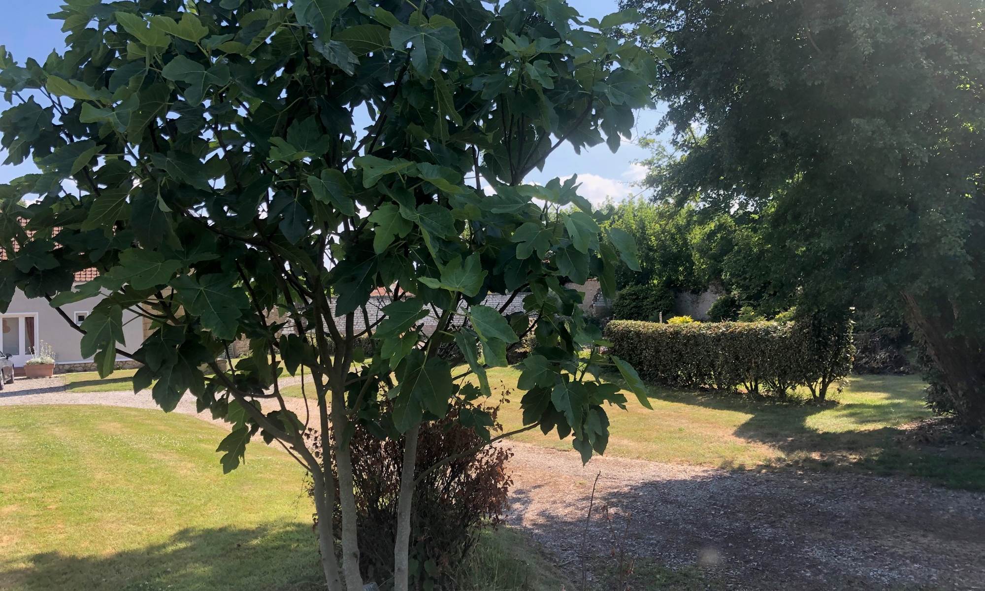 la fraicheur reposante