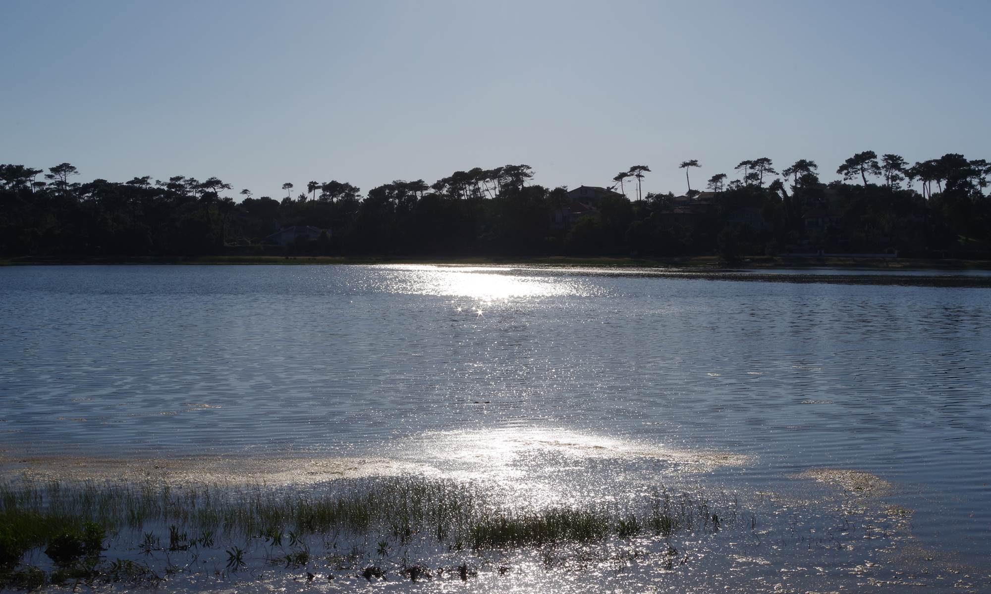 Magnifique coucher de soleil sur le lac marin d'Hossegor-galerie