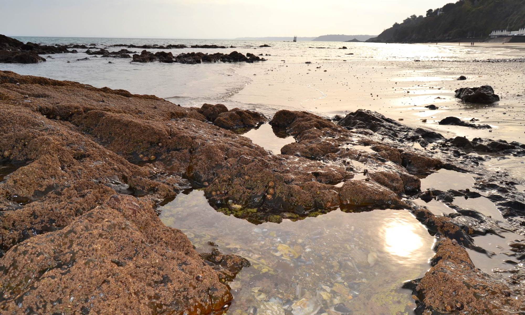 Plage des Godelins_Etables-sur-mer_rochers-galerie