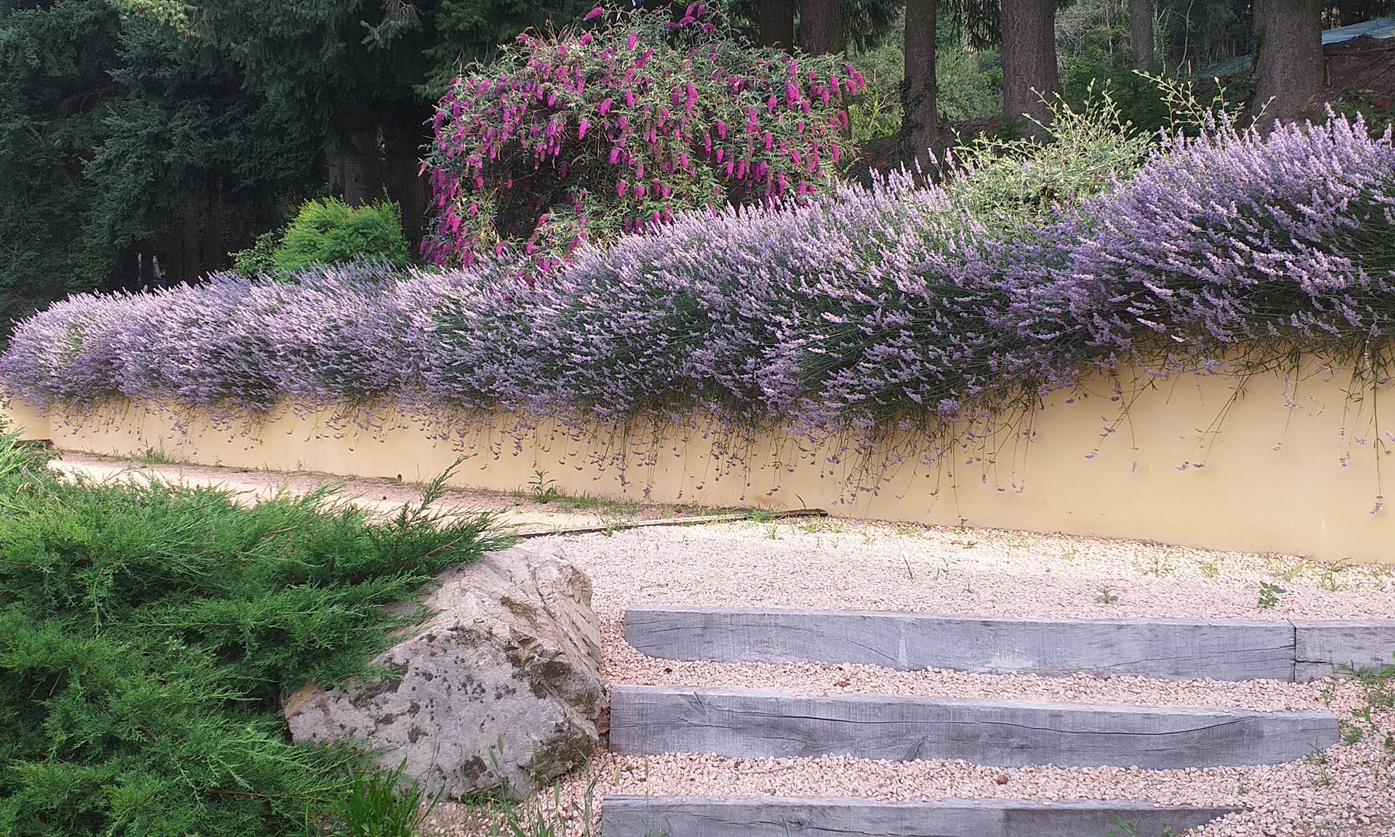 La pétanque qui sent bon la lavande !