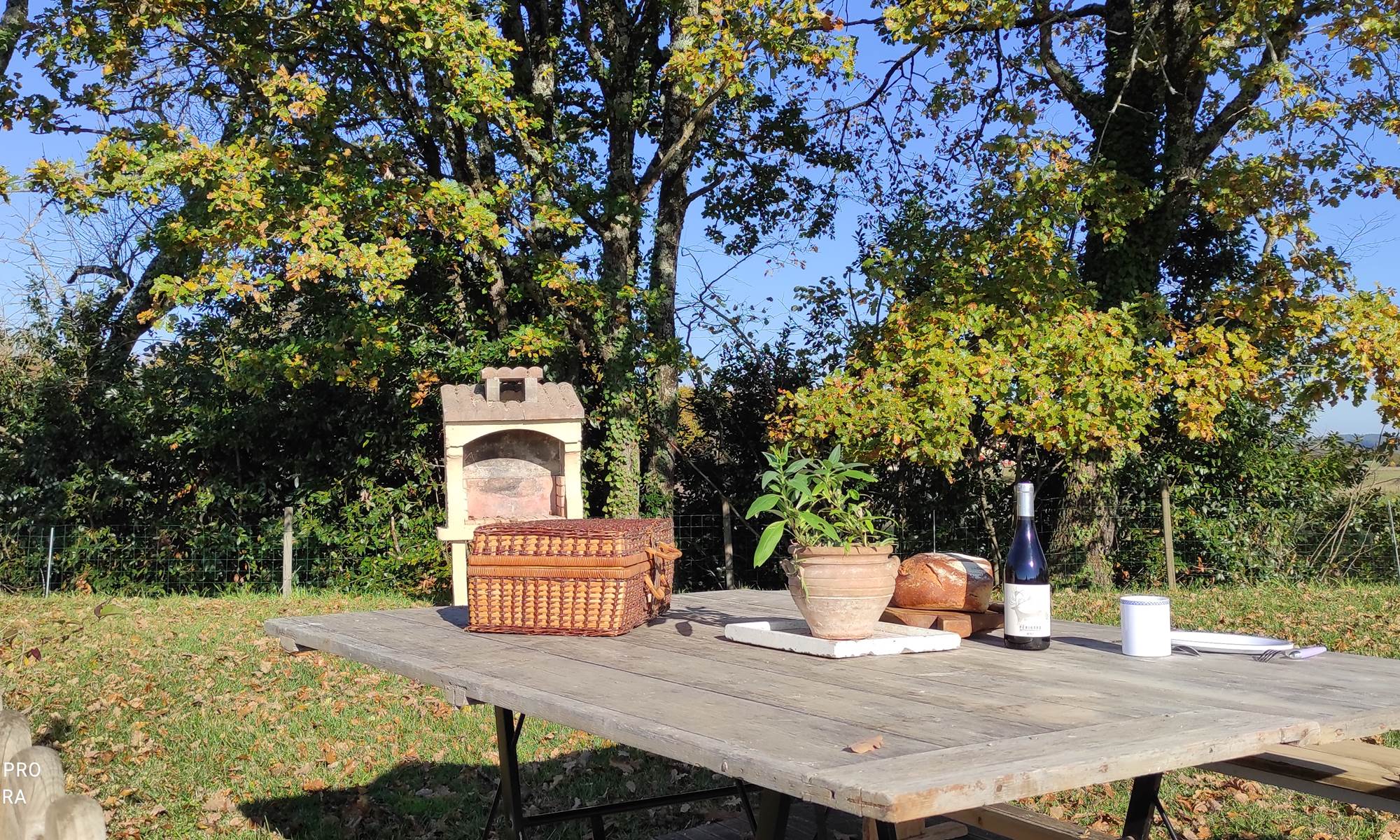 Espace pique-nique et son barbecue-page