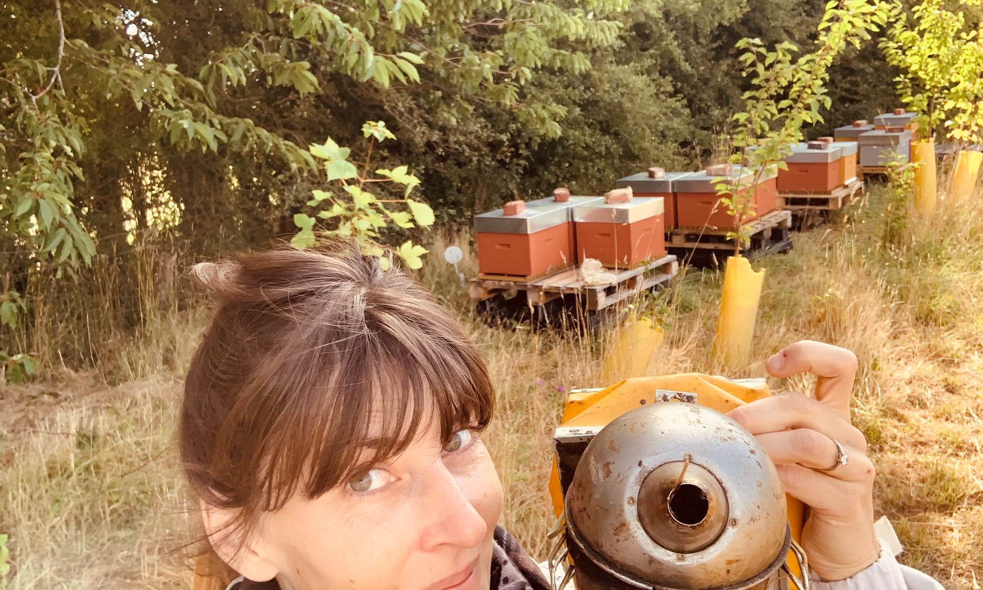 L'apicultrice de l'Artois