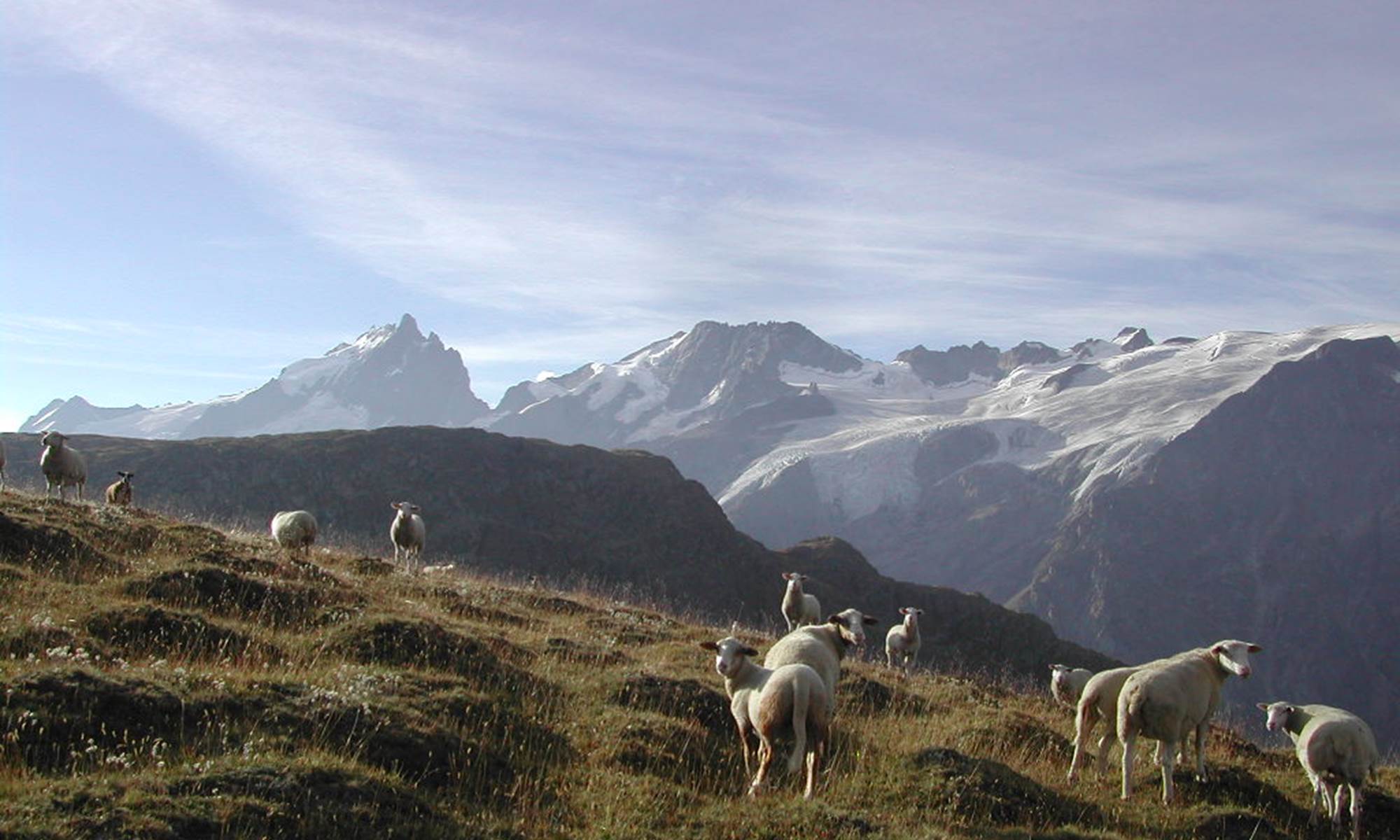 Vers le Plateau d'Emparis 2450 m.