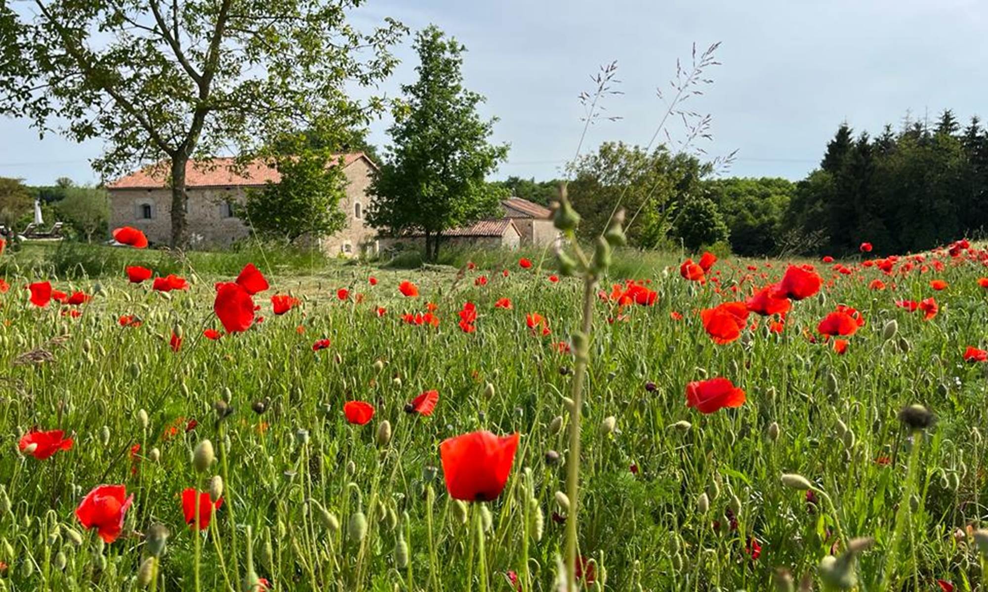 Chambre d'hôtes Tendance Campagne Jardin