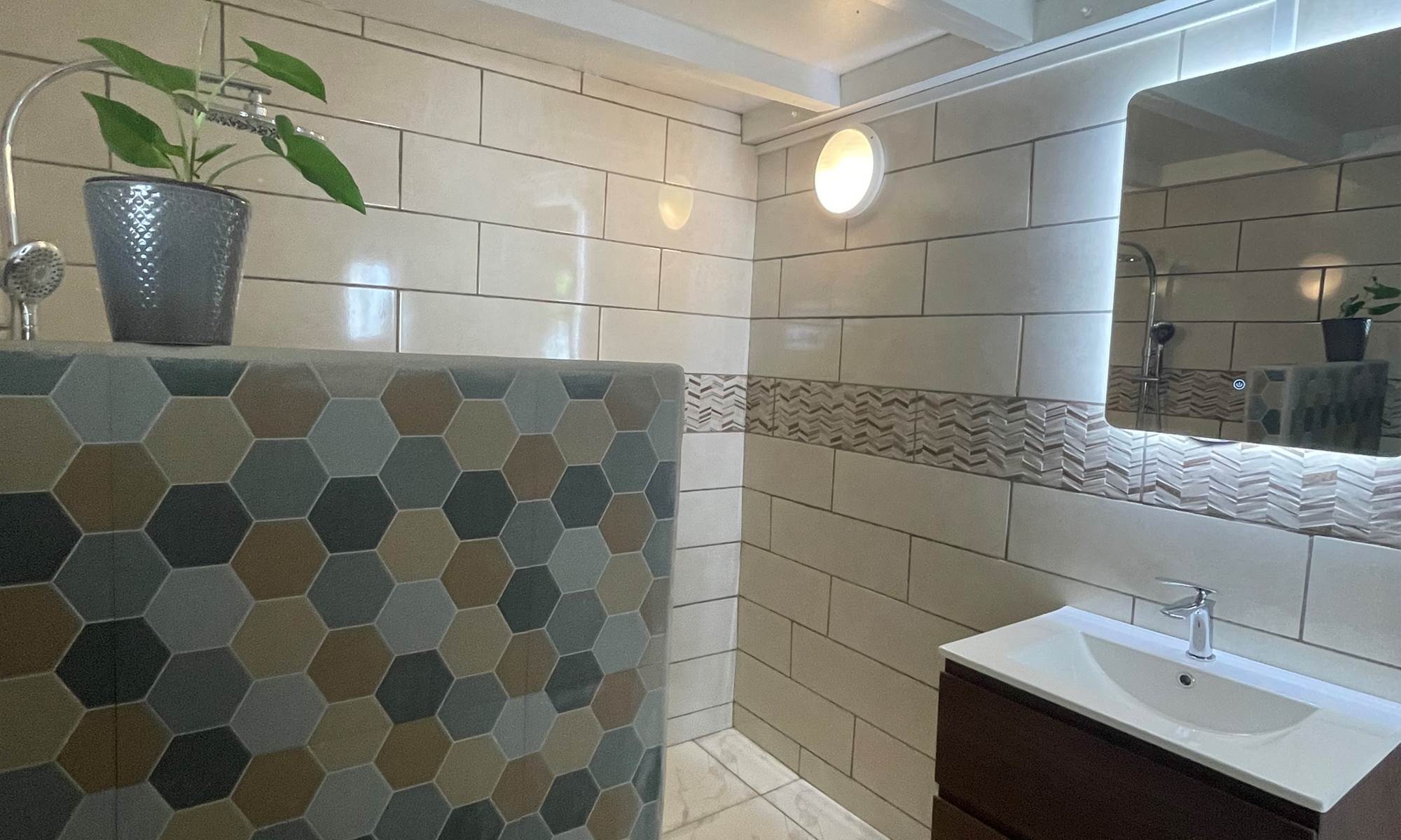chambre-avec-une-salle-de-douche-galerie