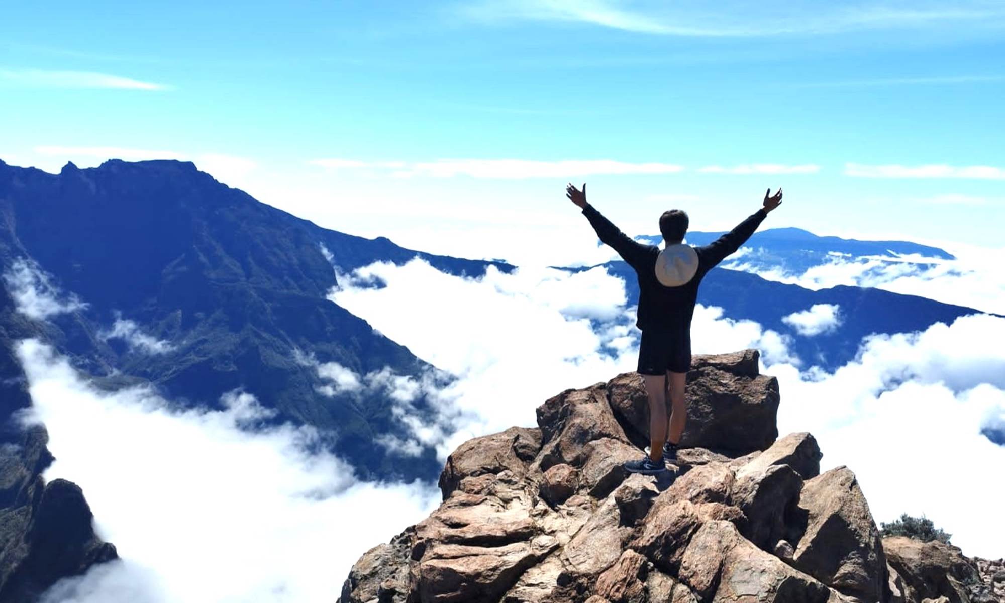 3555fe31-95e3-4135-8148-bf20052d9d1c