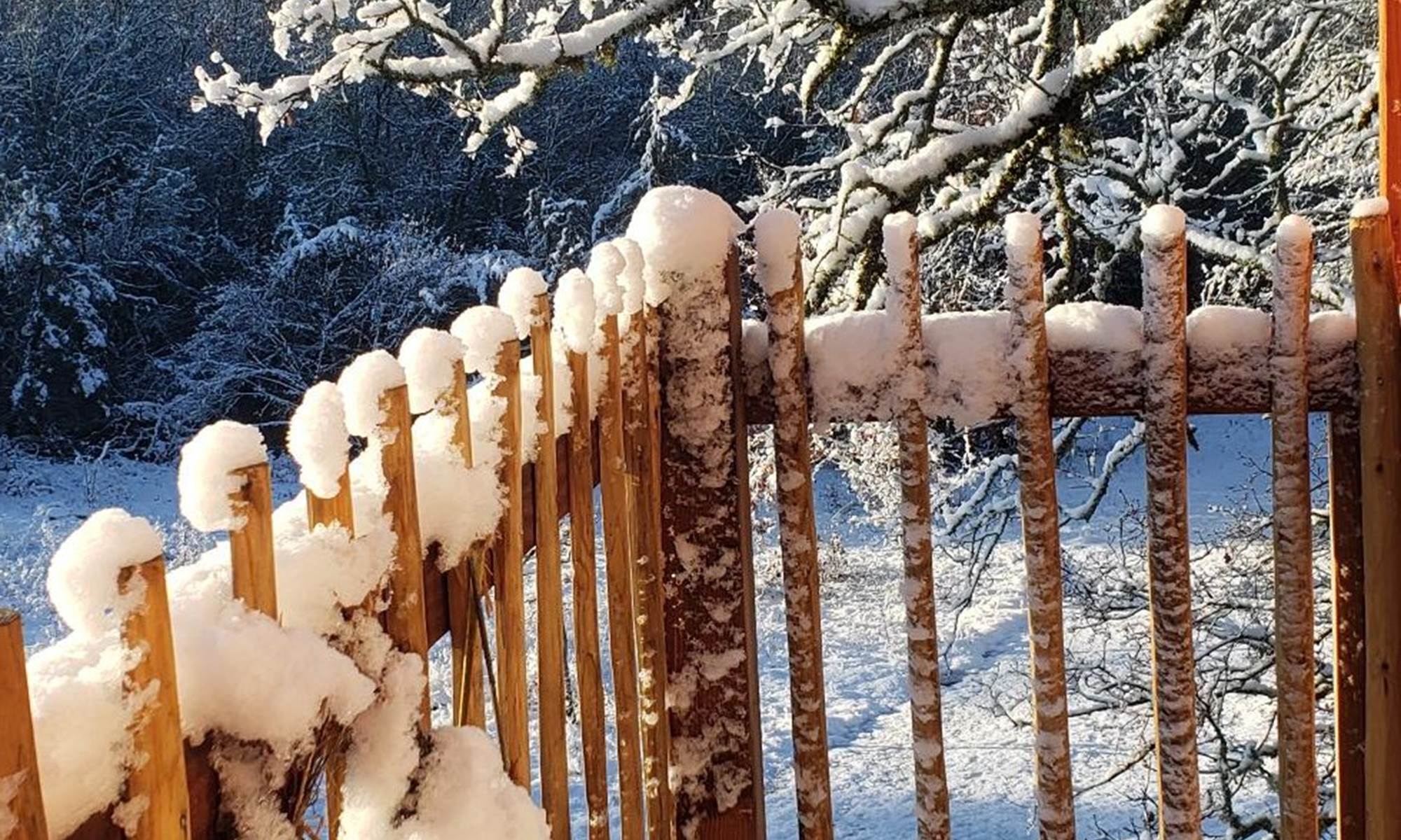 La neige s'invite "Au coeur de nos bois"