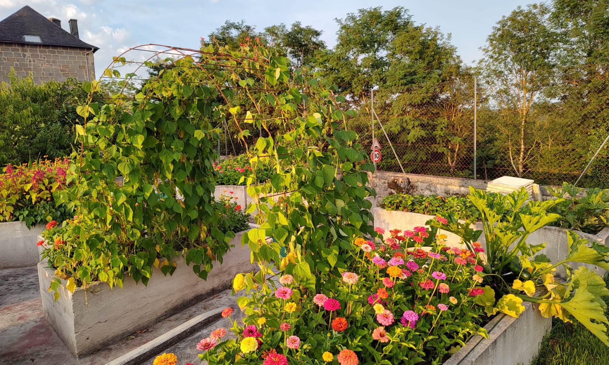 Jardinières des Dépendances-galerie