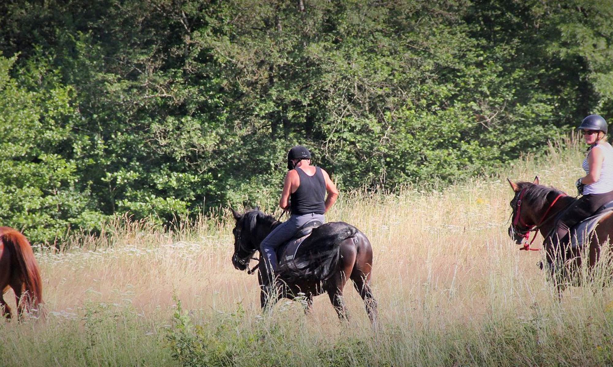 La chevauchée en Creuse balades et randonnées-galerie