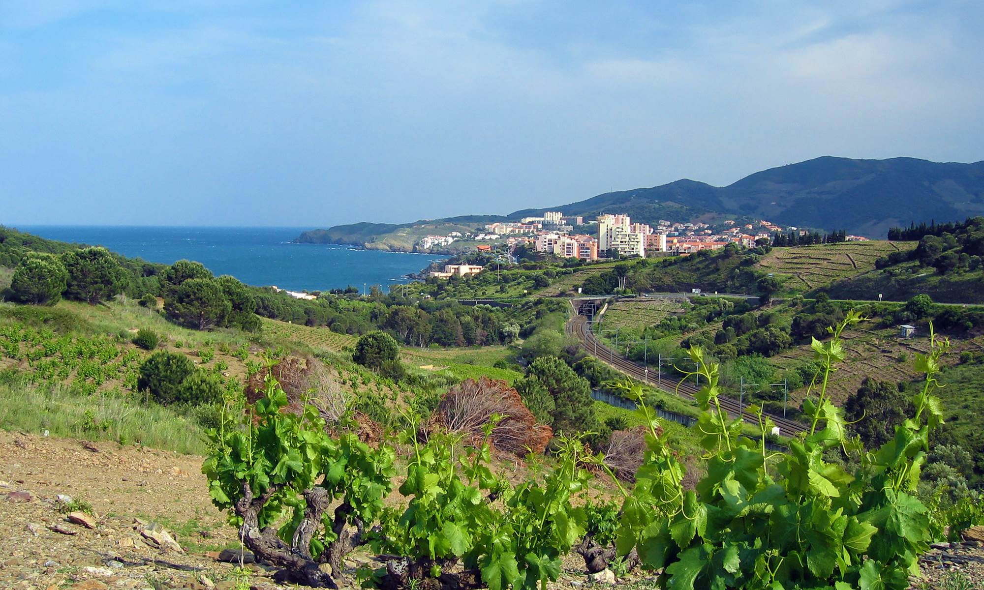 Banyuls-sur-Mer, à 10 minutes de Cerbère-galerie