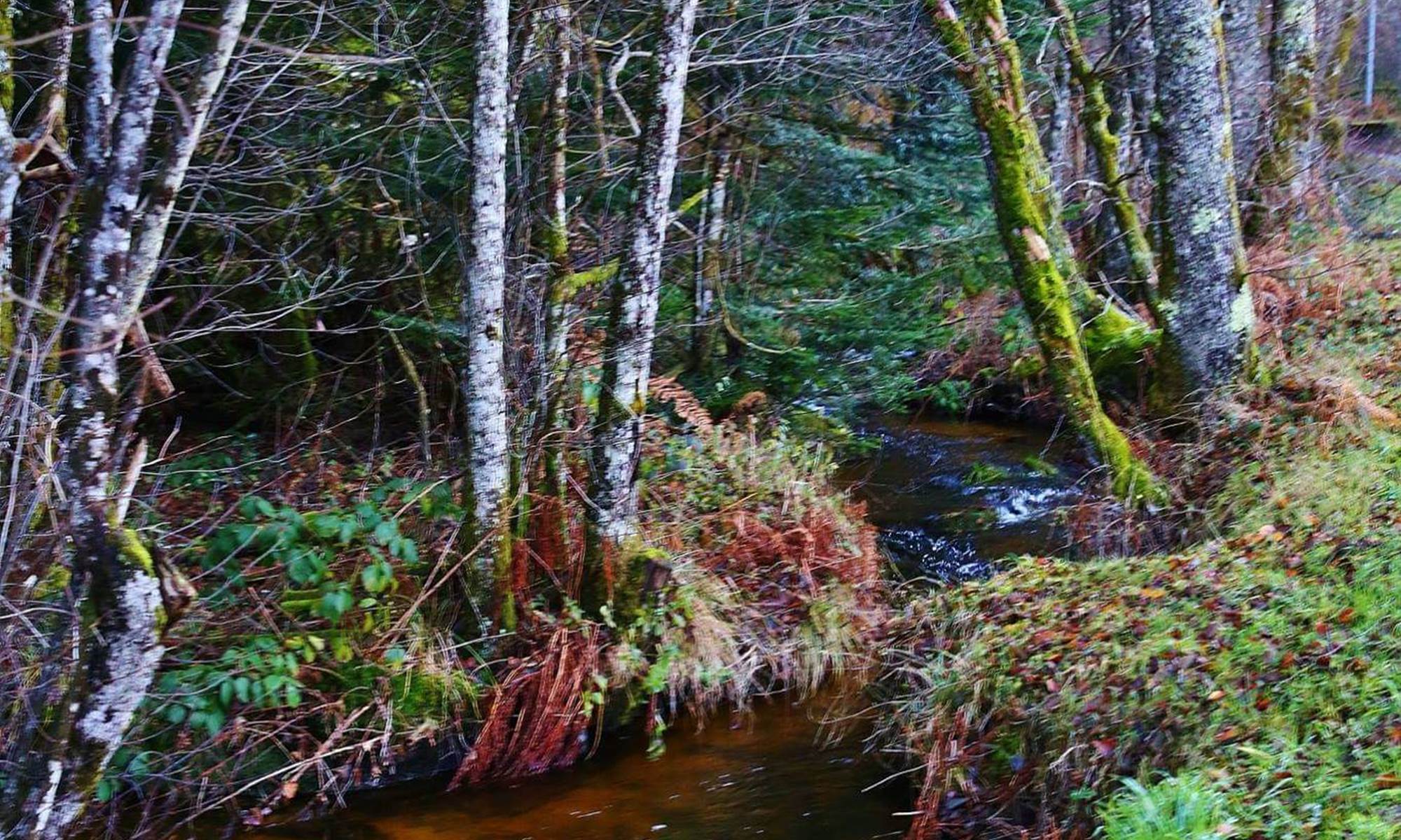 Gite le Masgiral Cours d'eau-galerie