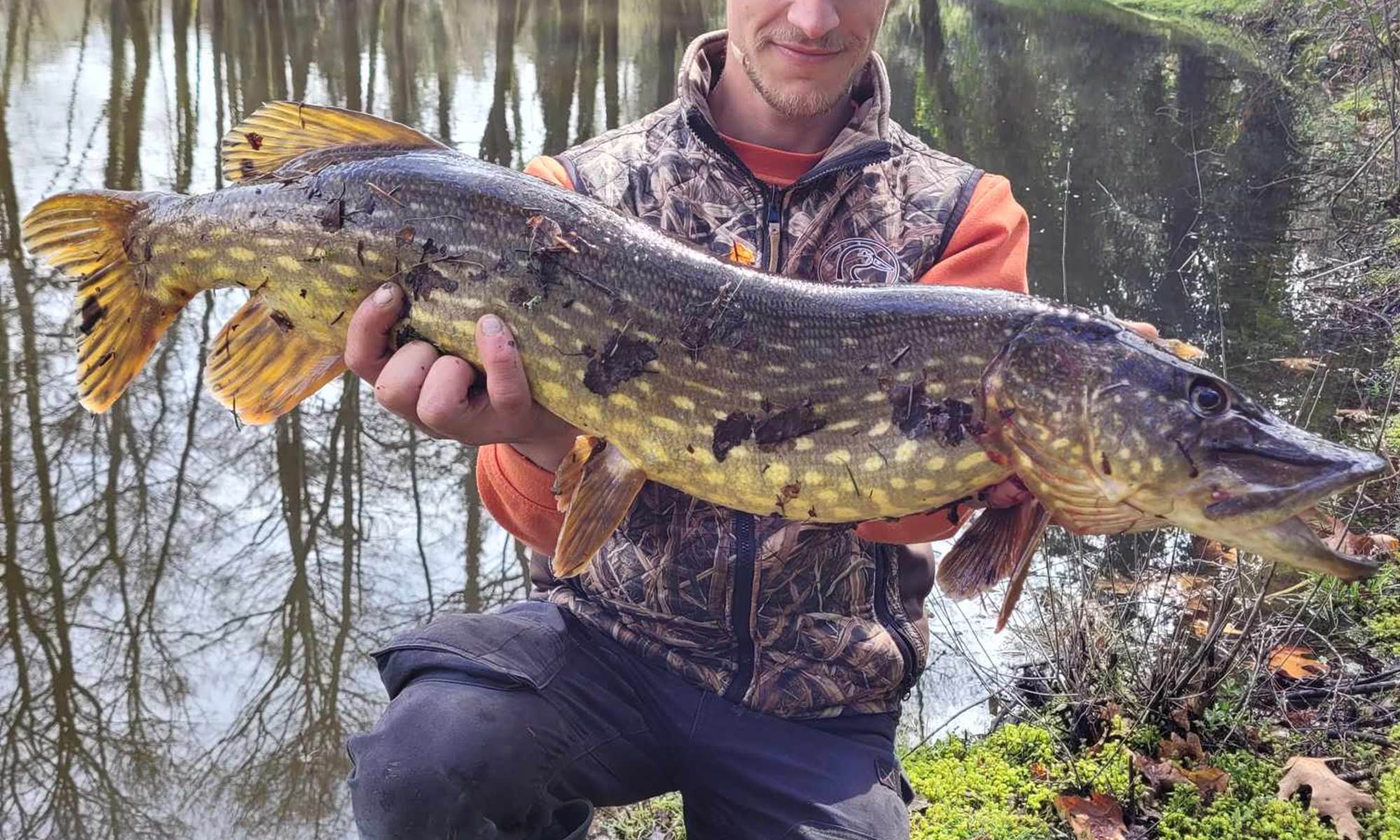 Etant privè à 7km du Moulin de Lavaugarde