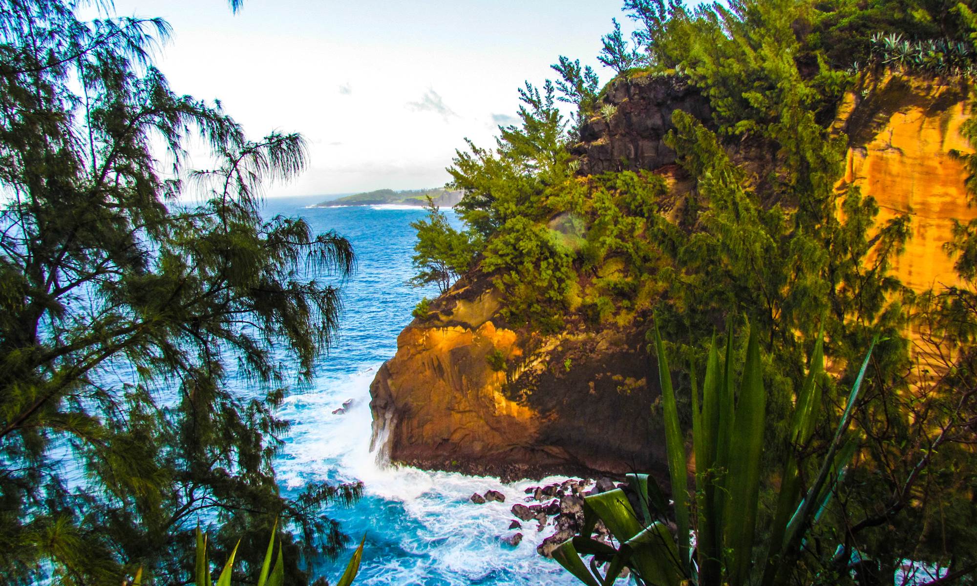 Cap jaune langevin-page