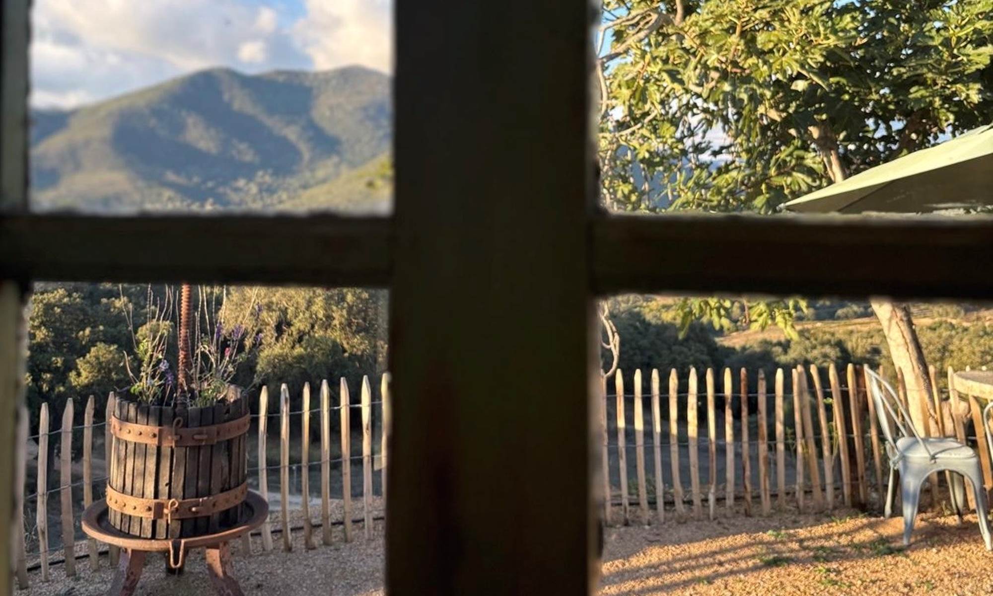 66b208c2-664f-456b-a6aa-3b761e175b5e