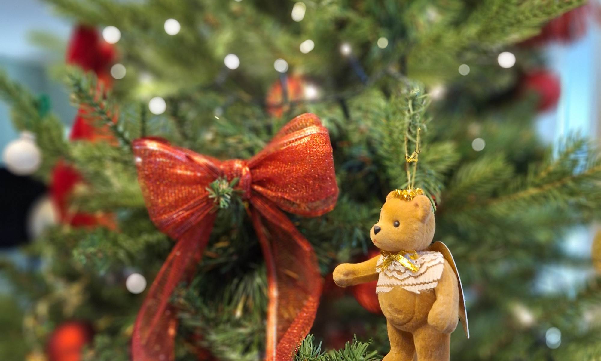 détail sapin le Quatre Feuilles proche Puy du Fou