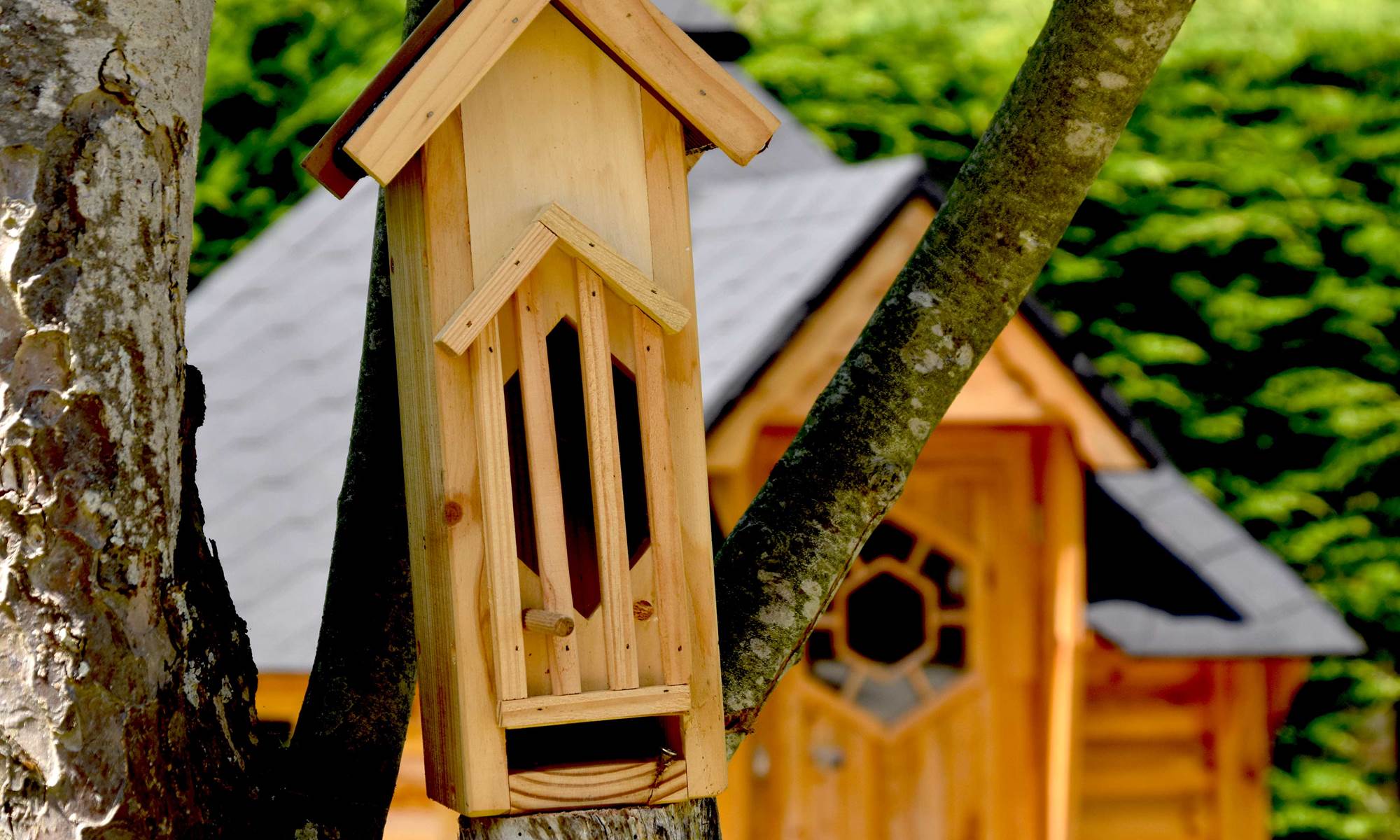 Photo nature - nichoir-galerie