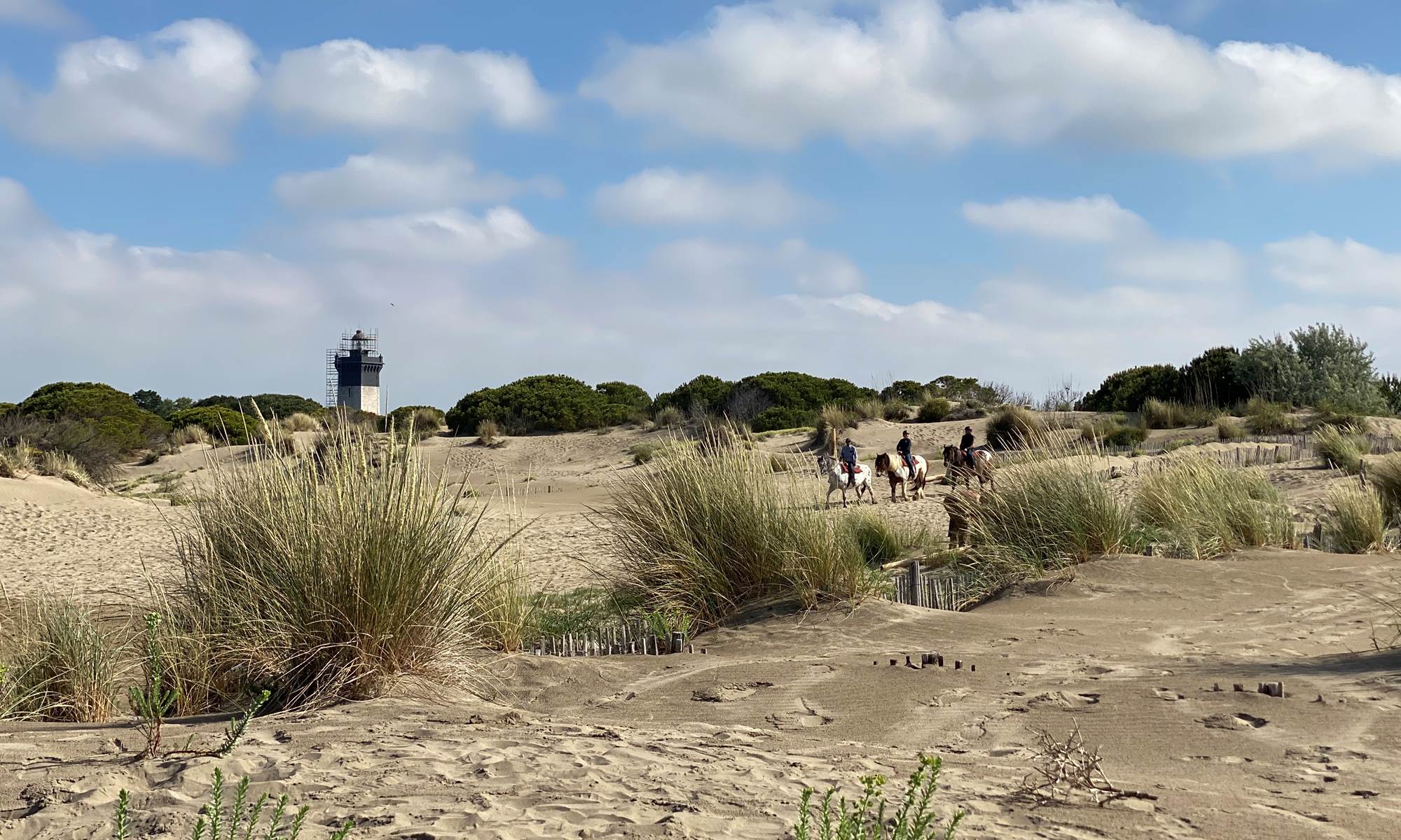 Phare de l'Espiguette